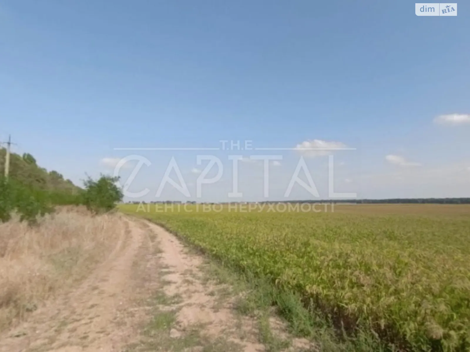 Продається земельна ділянка 4890 соток у Київській області, цена: 5379000 $ - фото 1