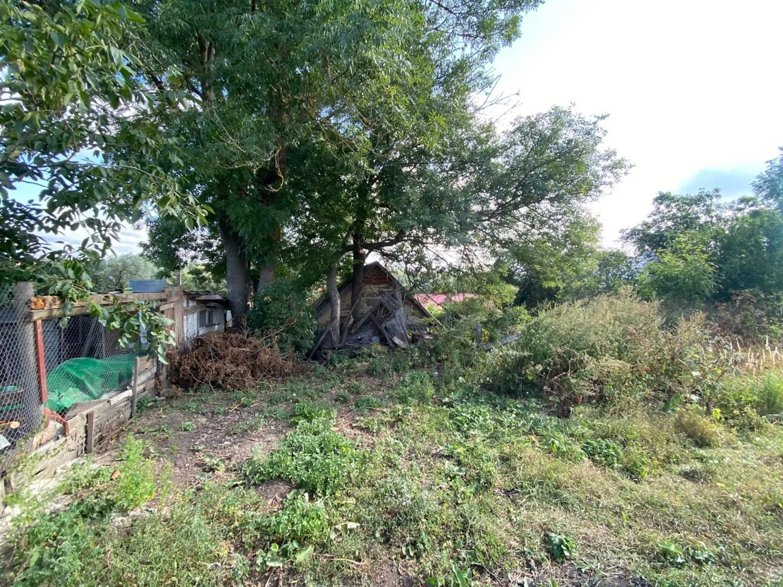 Продается земельный участок 31 соток в Тернопольской области - фото 2