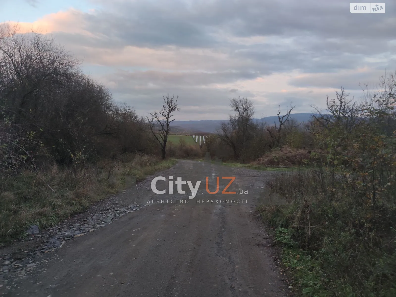 Продается земельный участок 2 соток в Закарпатской области - фото 2