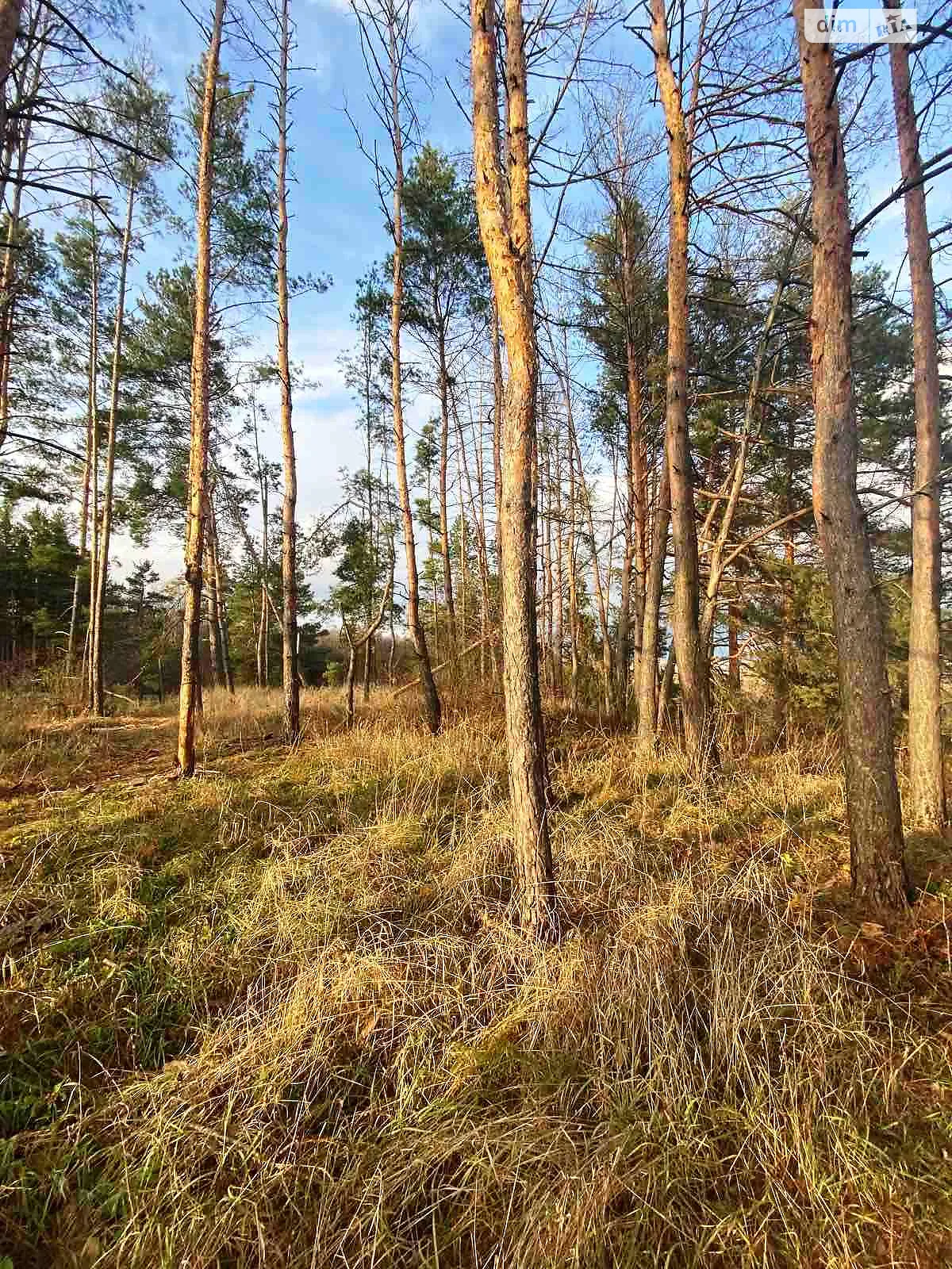 Продается земельный участок 17 соток в Черкасской области, цена: 9700 $