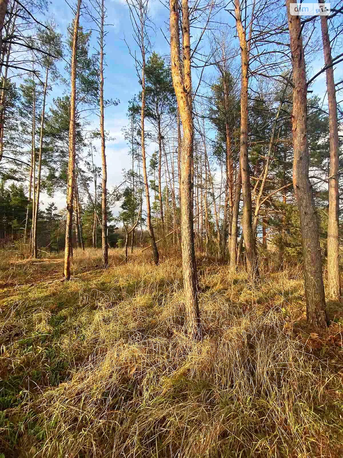 Продається земельна ділянка 17 соток у Черкаській області, вул. Лісова