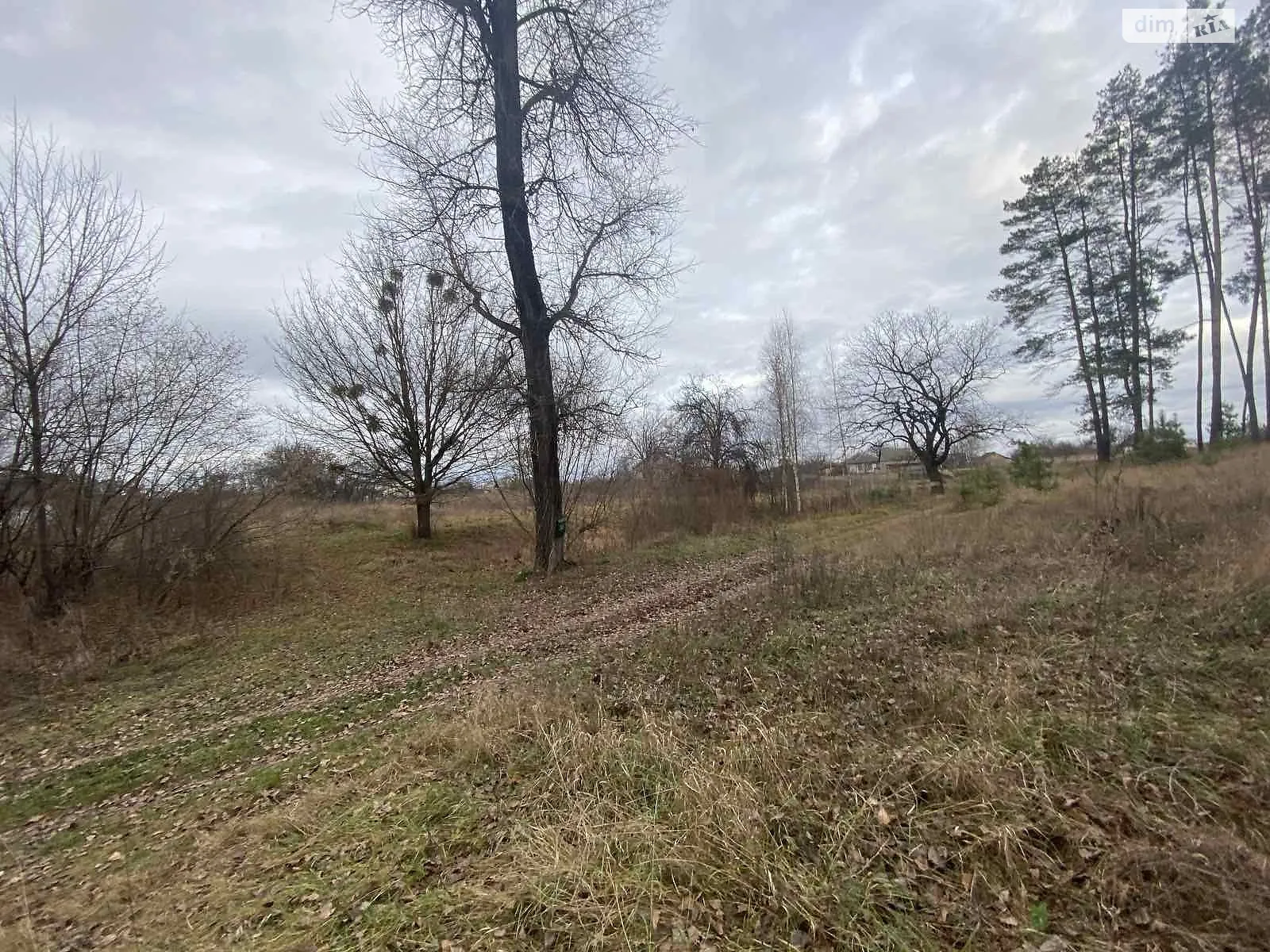 Продается земельный участок 11 соток в Черкасской области - фото 2