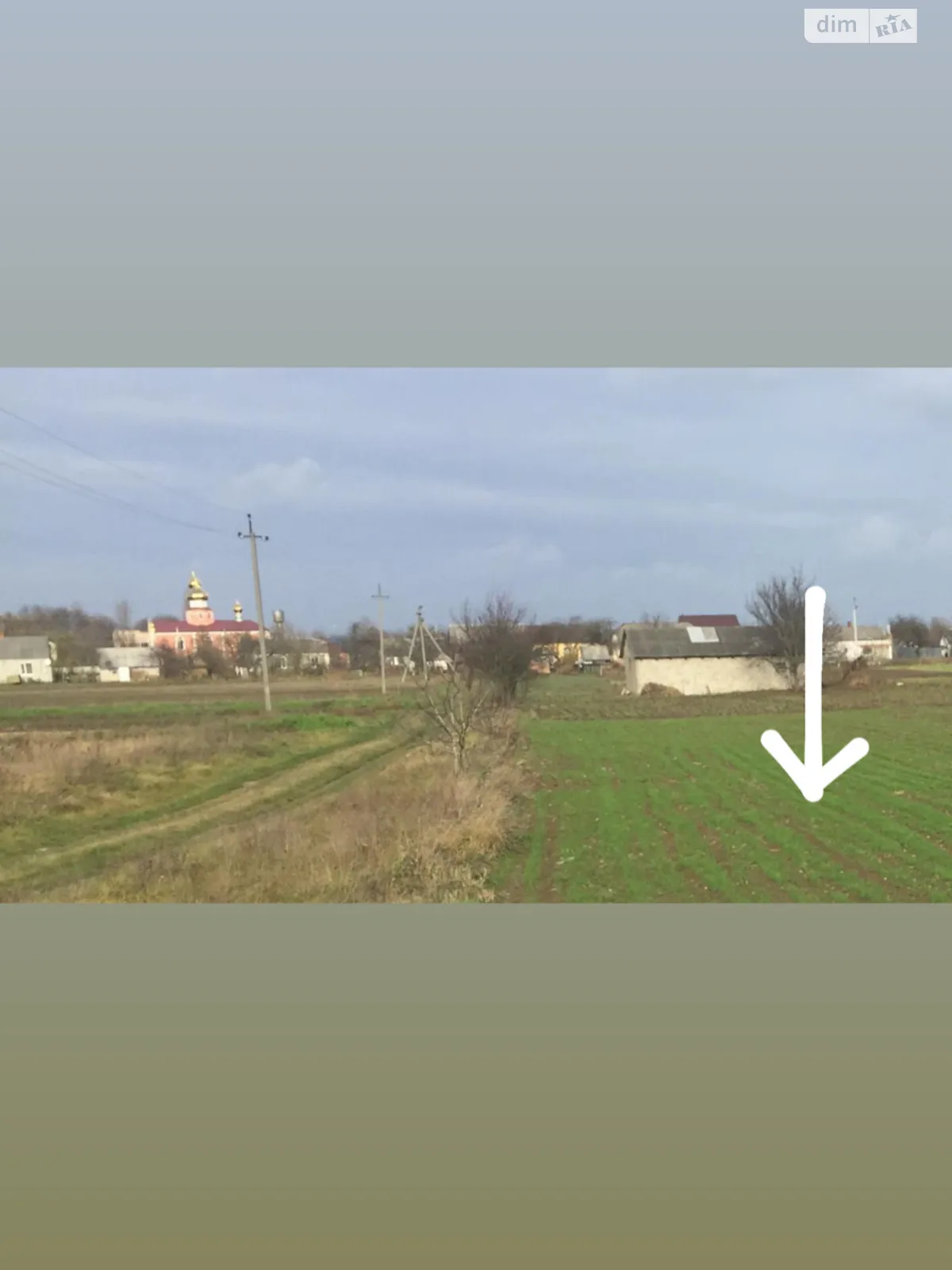 Продается земельный участок 50 соток в Волынской области, цена: 15000 €