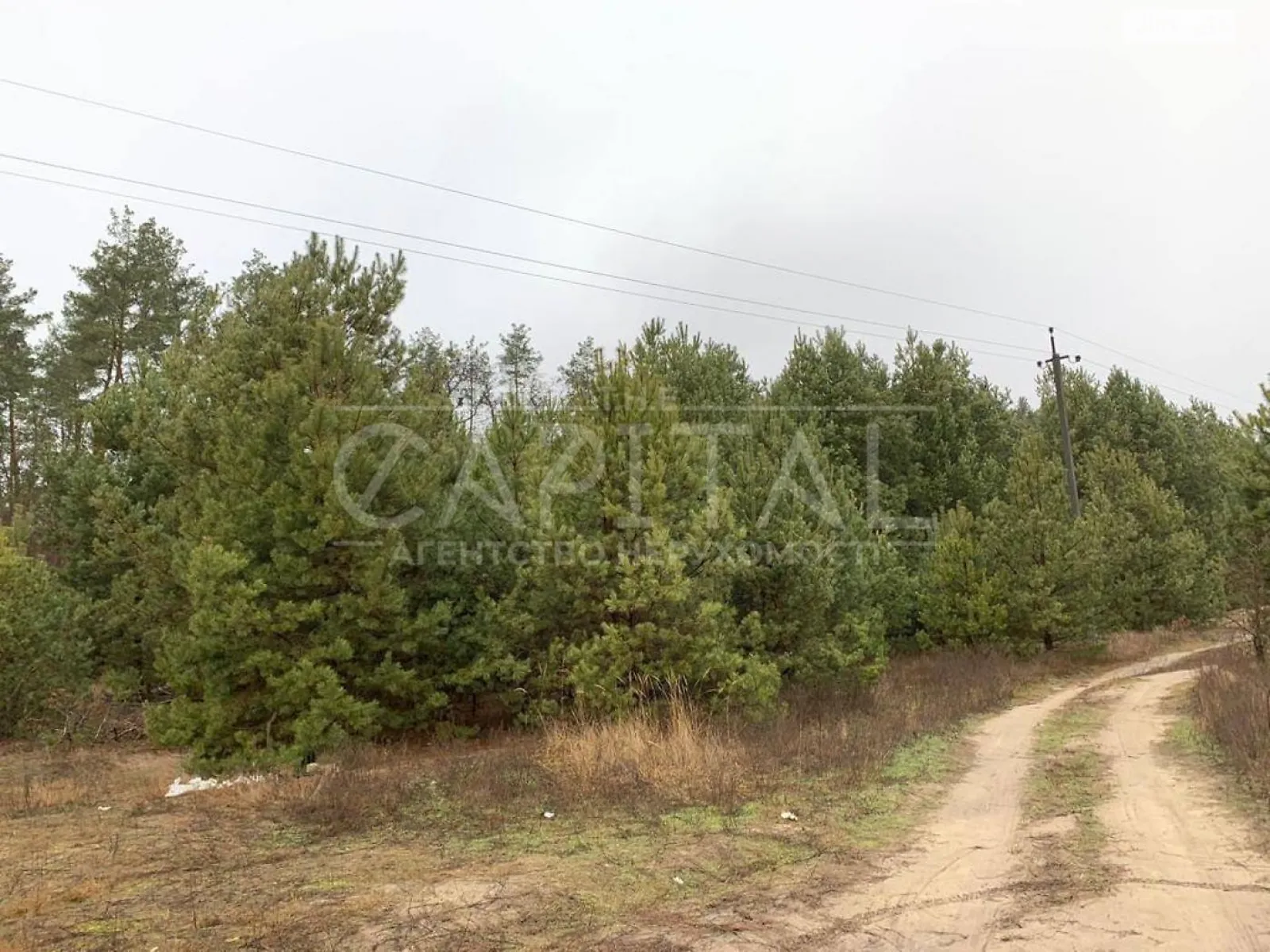 Продается земельный участок 2000 соток в Киевской области - фото 2
