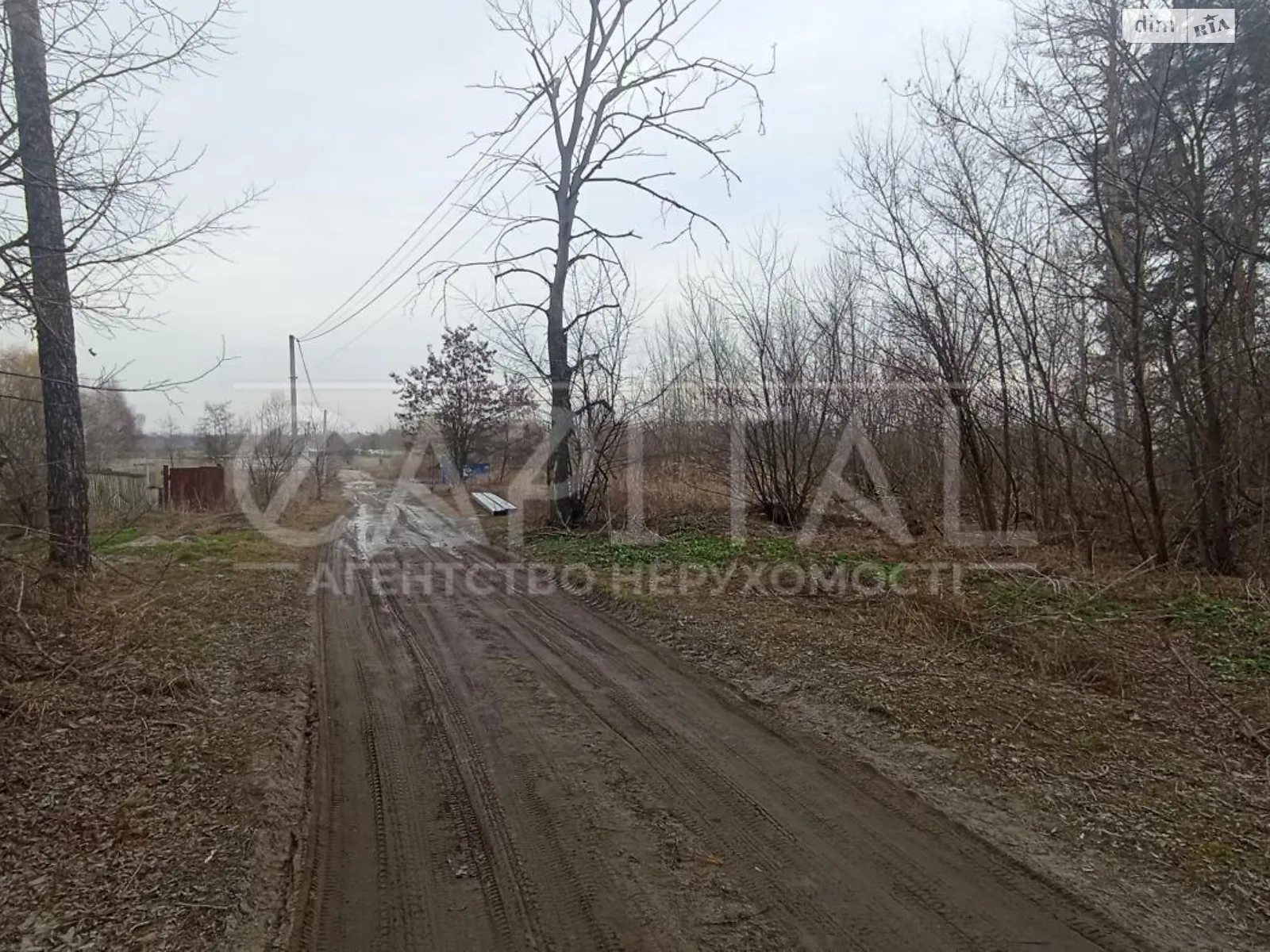 Продается земельный участок 28 соток в Киевской области - фото 2