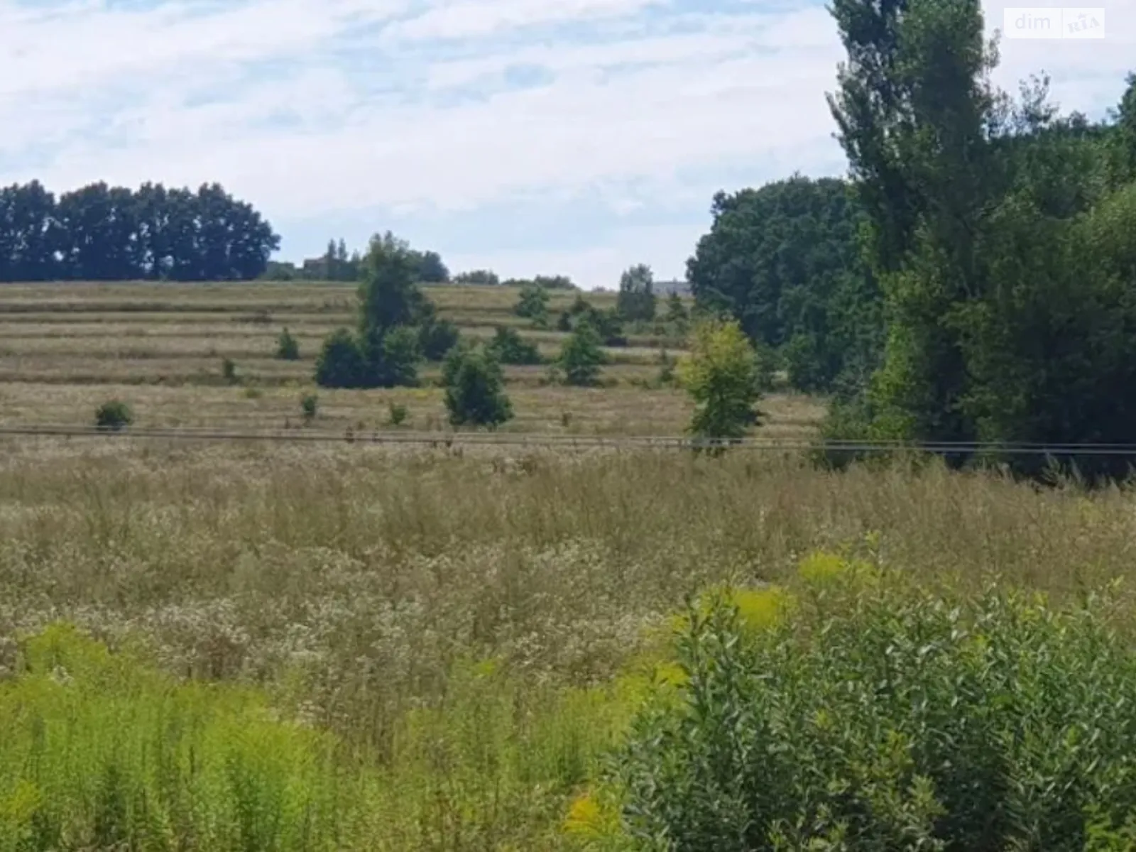 Продается земельный участок 87 соток в Киевской области - фото 2