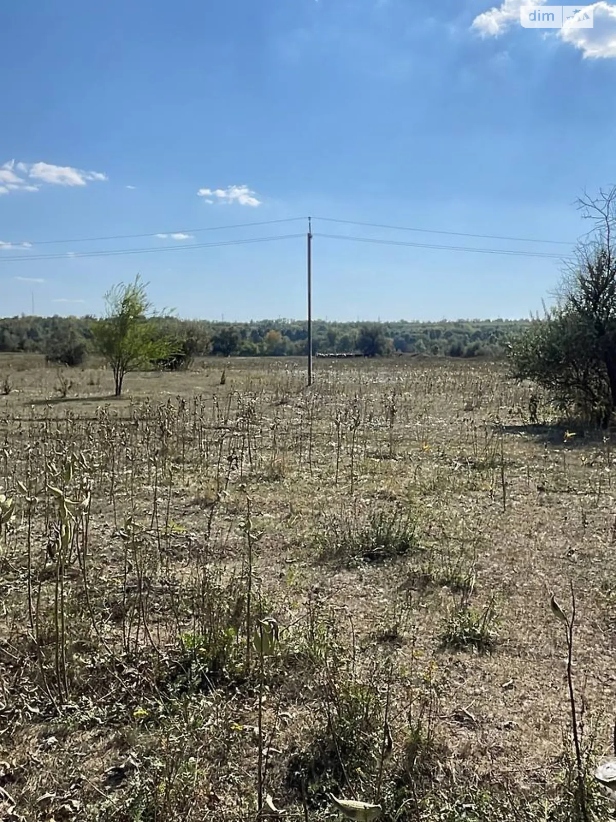 Продается земельный участок 200 соток в Днепропетровской области - фото 3