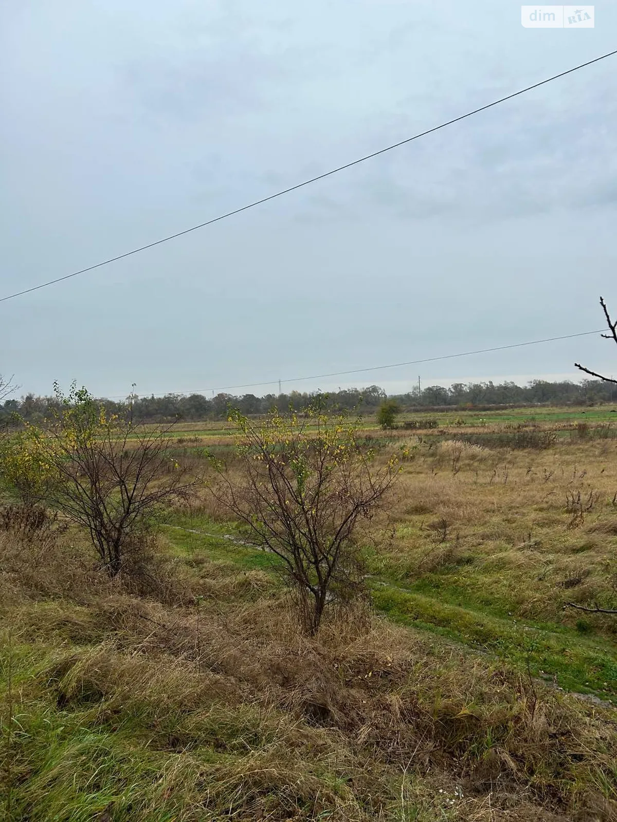 Продается земельный участок 227 соток в Ивано-Франковской области - фото 2