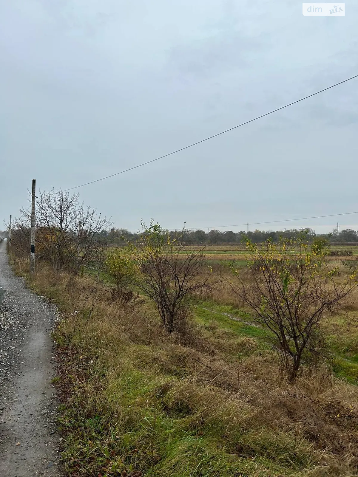 Продается земельный участок 227 соток в Ивано-Франковской области - фото 3