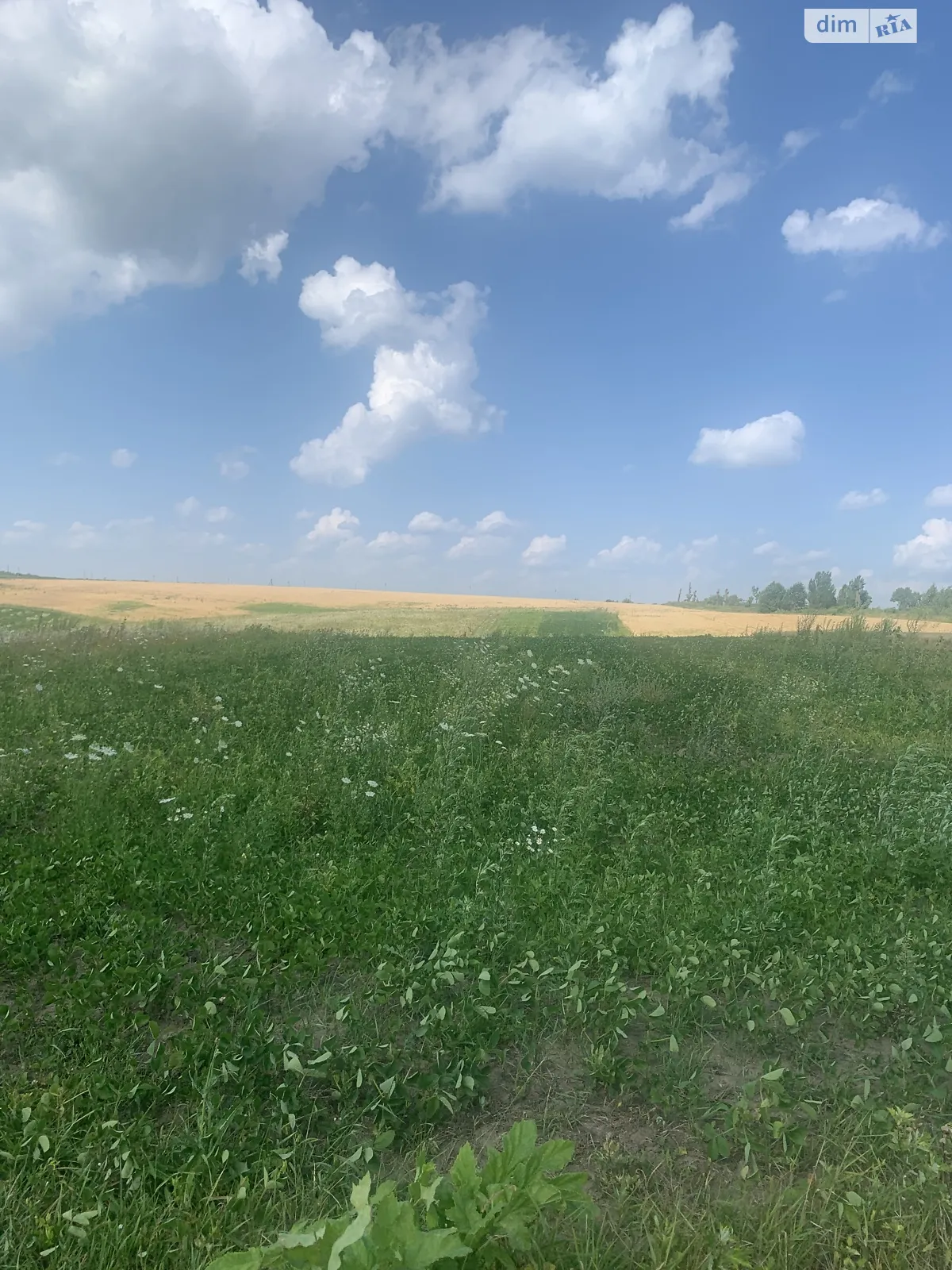 Продається земельна ділянка 0.0725 соток у Хмельницькій області - фото 3