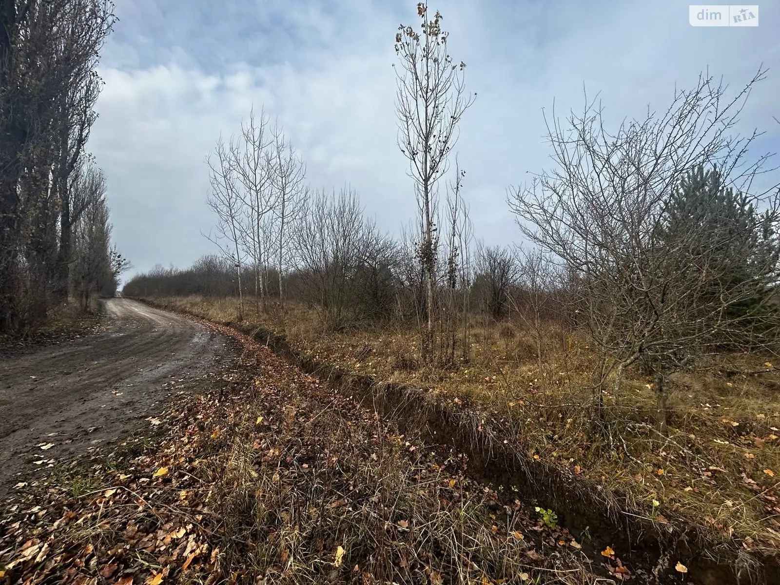 Продається земельна ділянка 20 соток у Хмельницькій області, цена: 20000 $