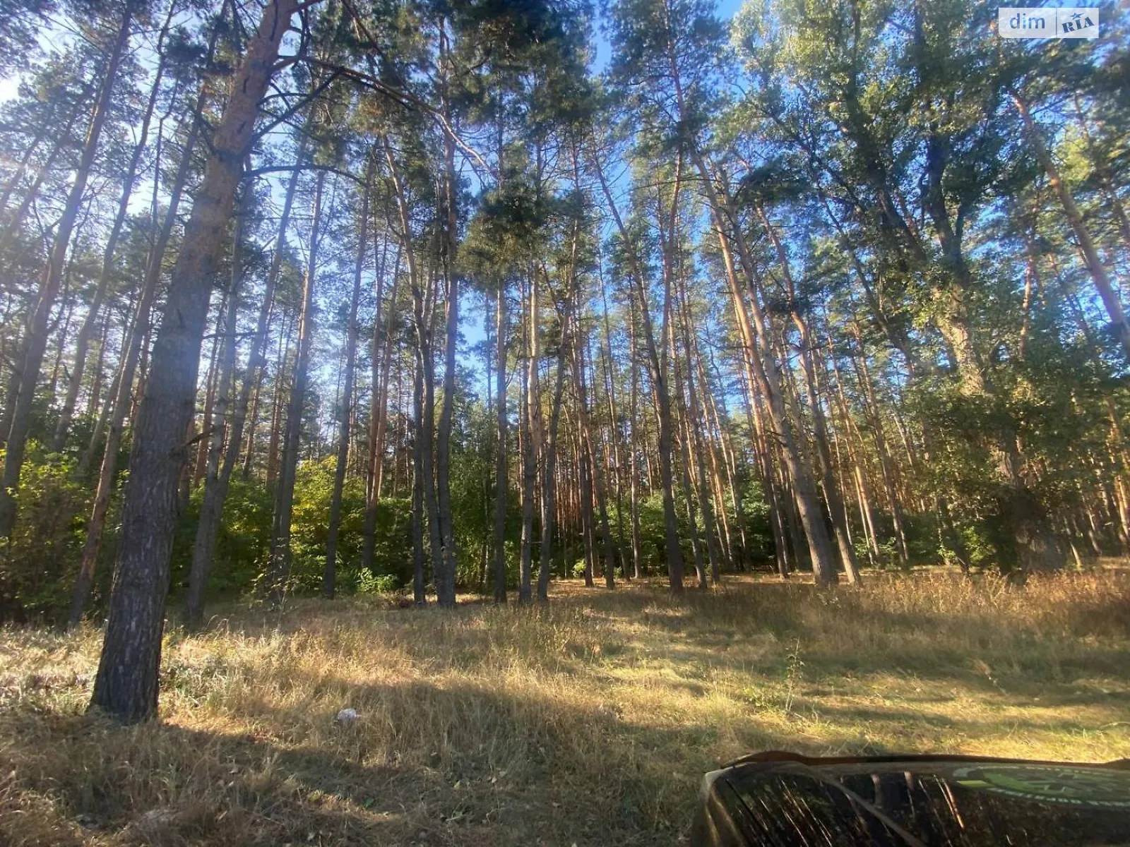 Продается земельный участок 30 соток в Киевской области, цена: 213000 $ - фото 1