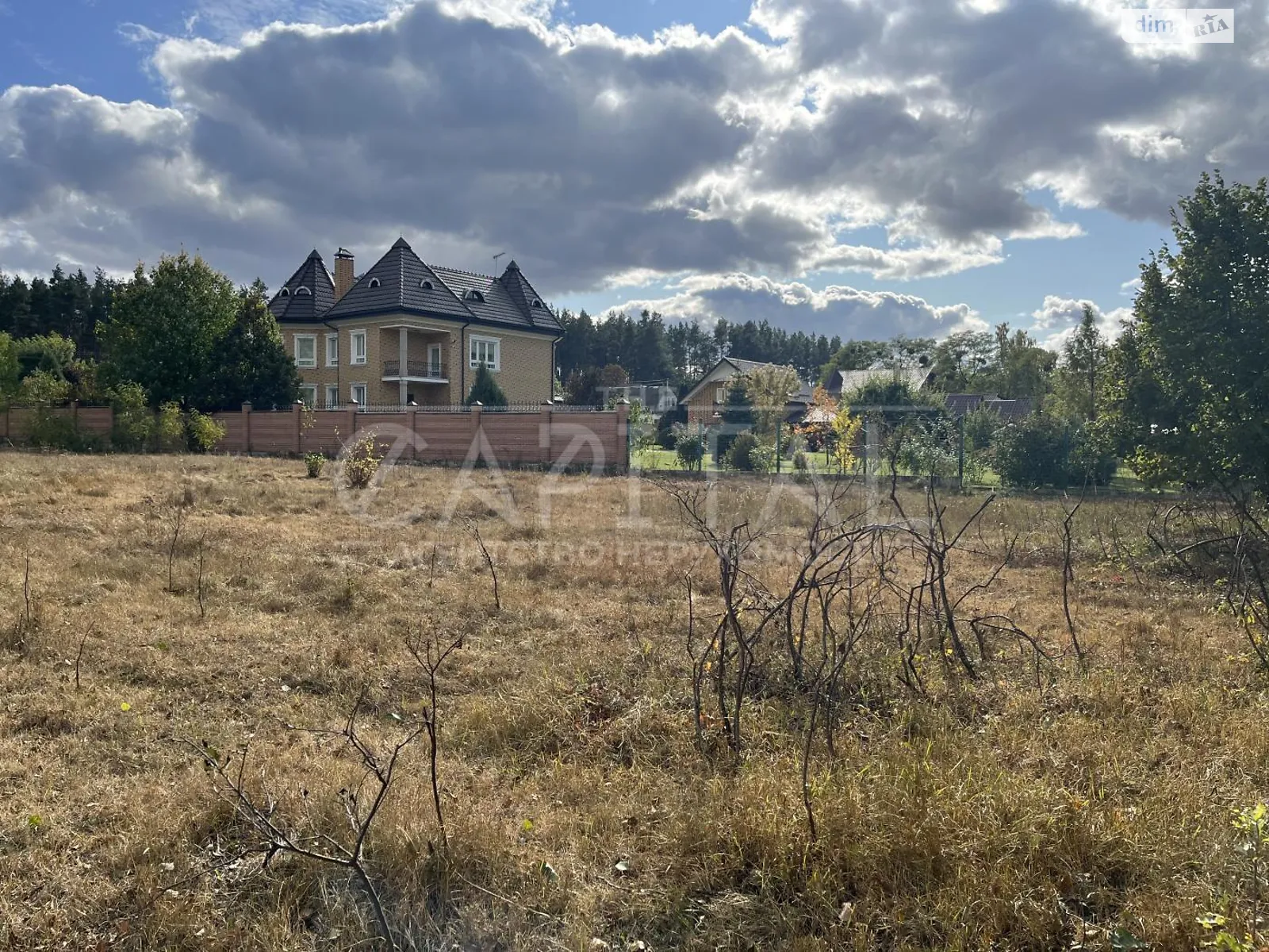 Продается земельный участок 59 соток в Киевской области - фото 2