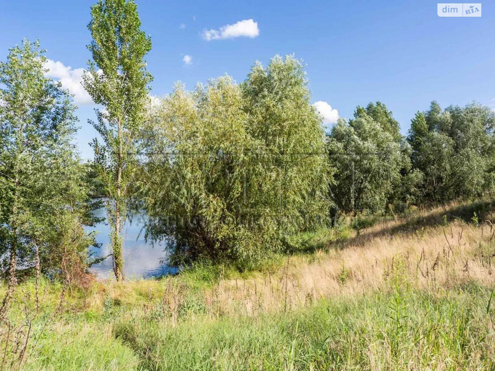 Продается земельный участок 186 соток в Киевской области - фото 2