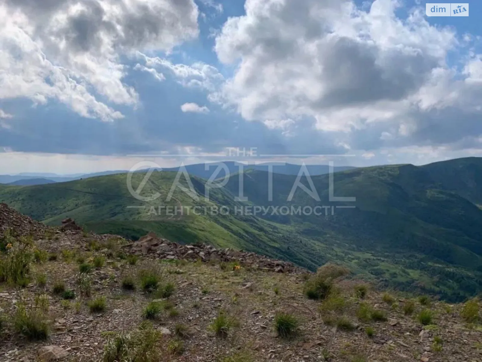 Продається земельна ділянка 1200 соток у Закарпатській області - фото 2
