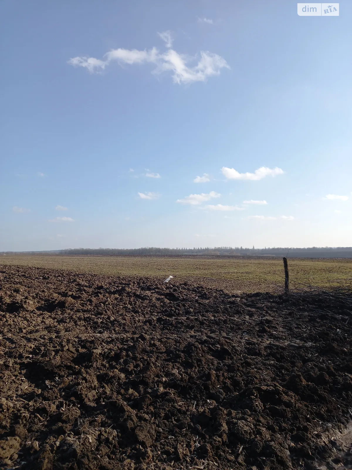 Продається земельна ділянка 25 соток у Вінницькій області - фото 2