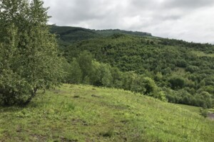 Куплю земельный участок в Сваляве без посредников