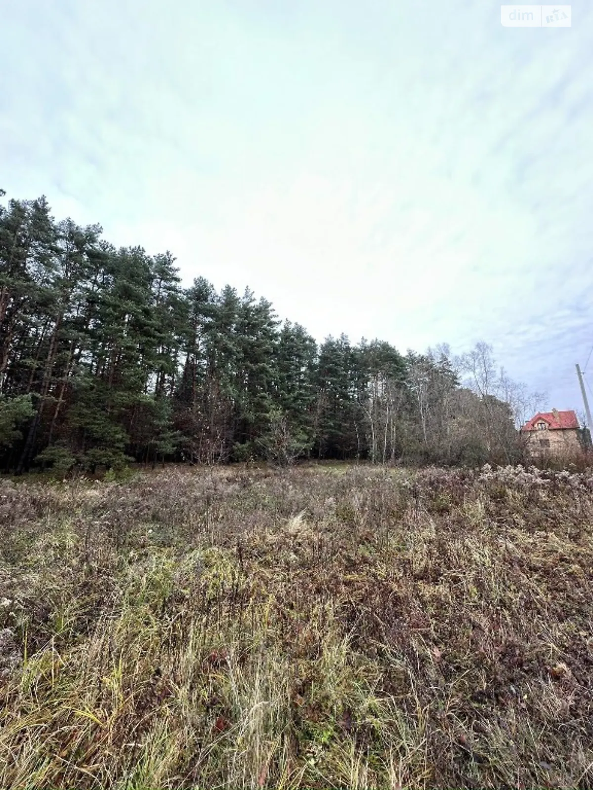 Продается земельный участок 33 соток в Львовской области - фото 2