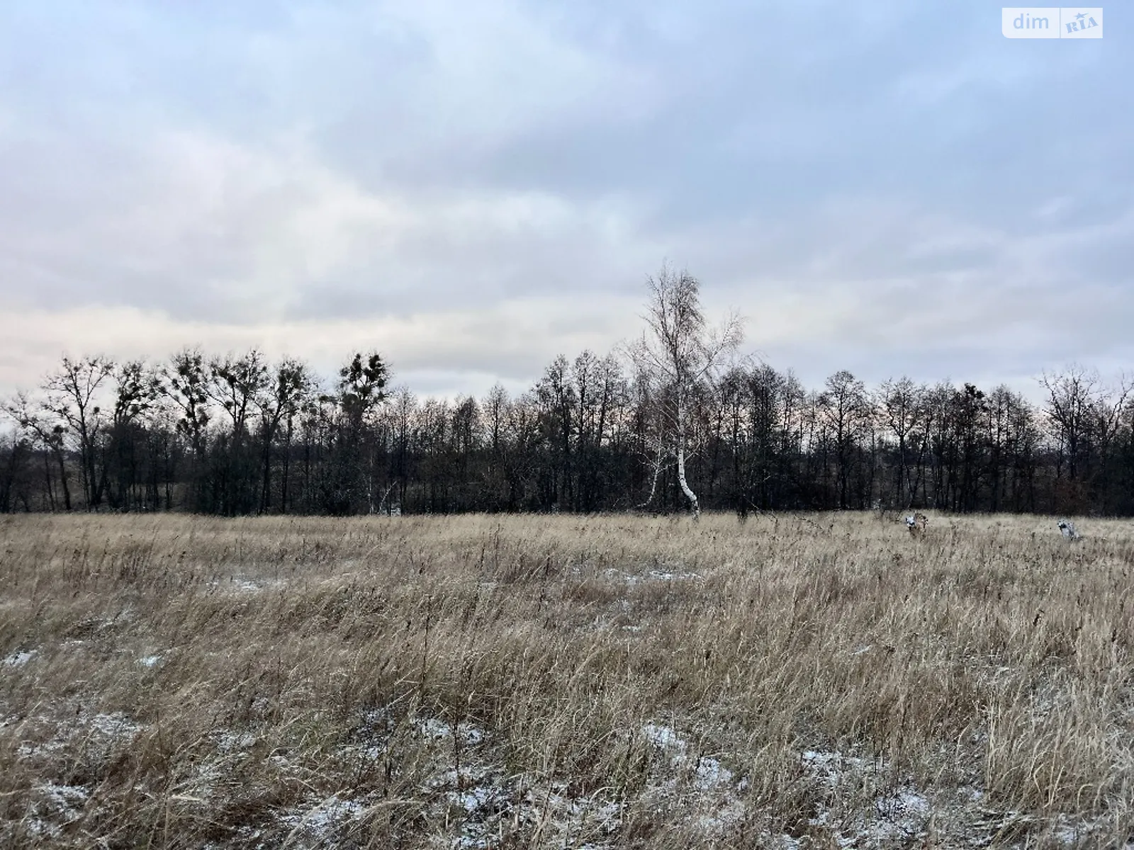 Продается земельный участок 10 соток в Киевской области, цена: 7500 $