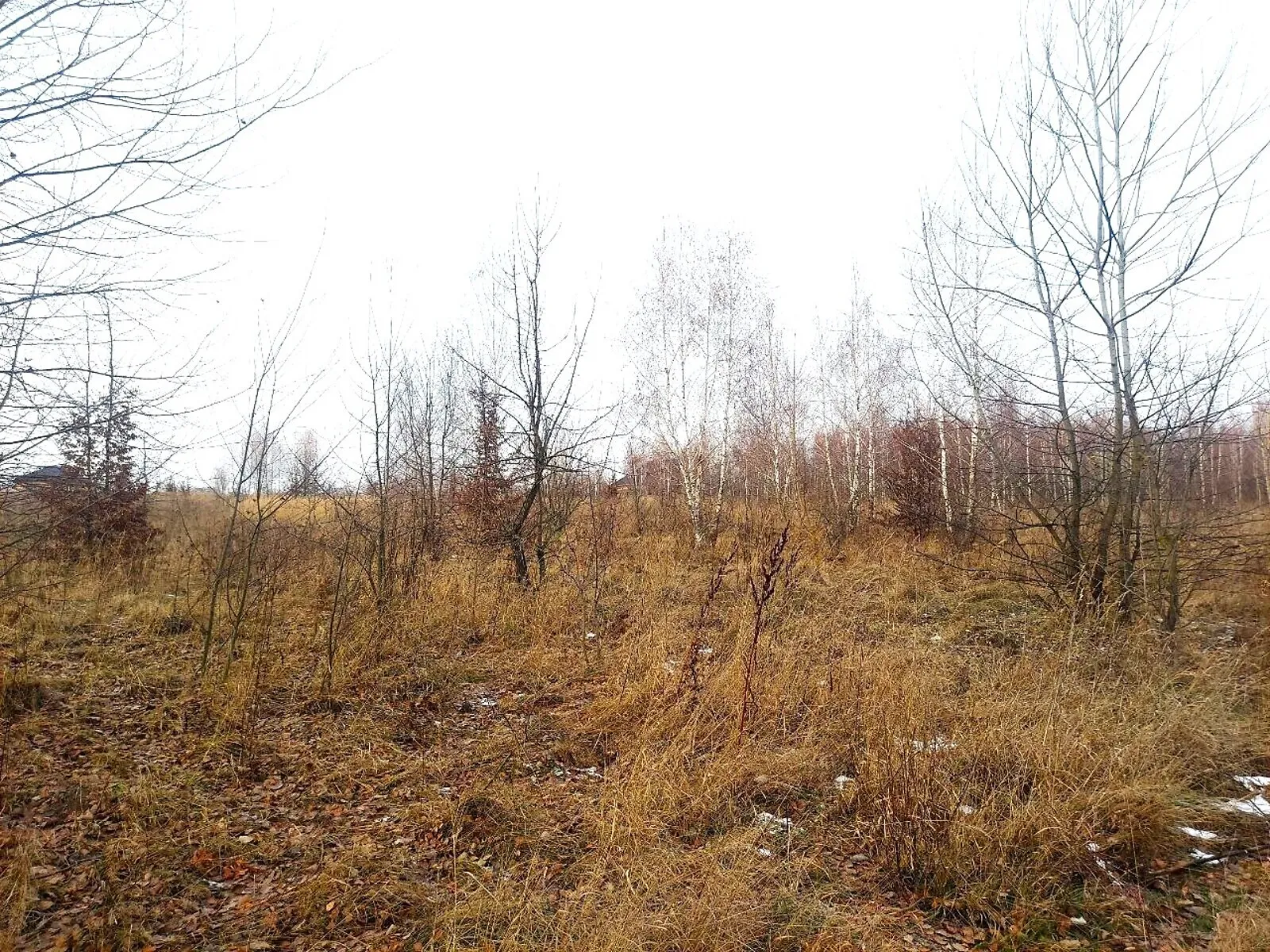 Продается земельный участок 11 соток в Житомирской области - фото 2