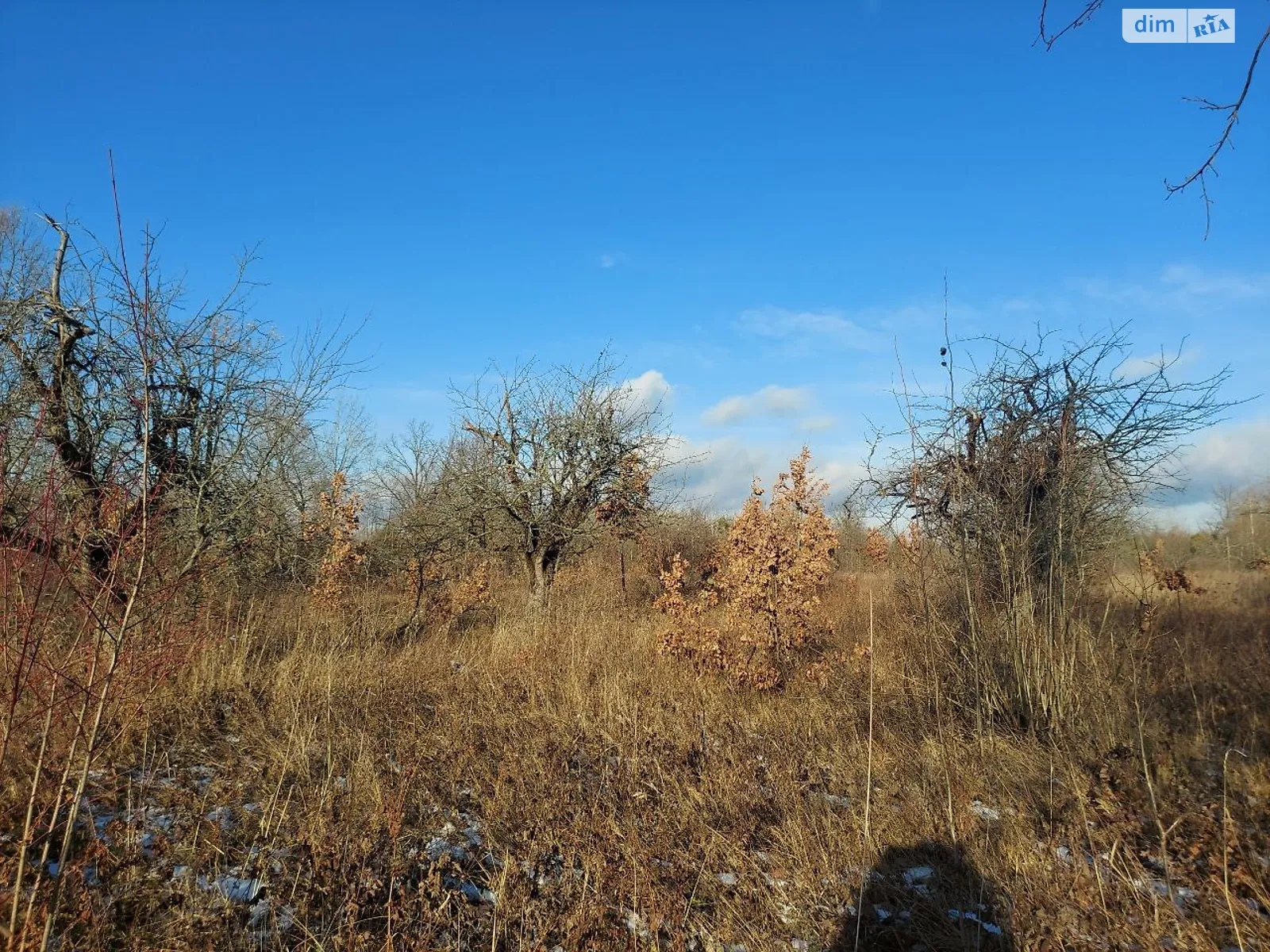 Продается земельный участок 8.5 соток в Житомирской области, цена: 2200 $