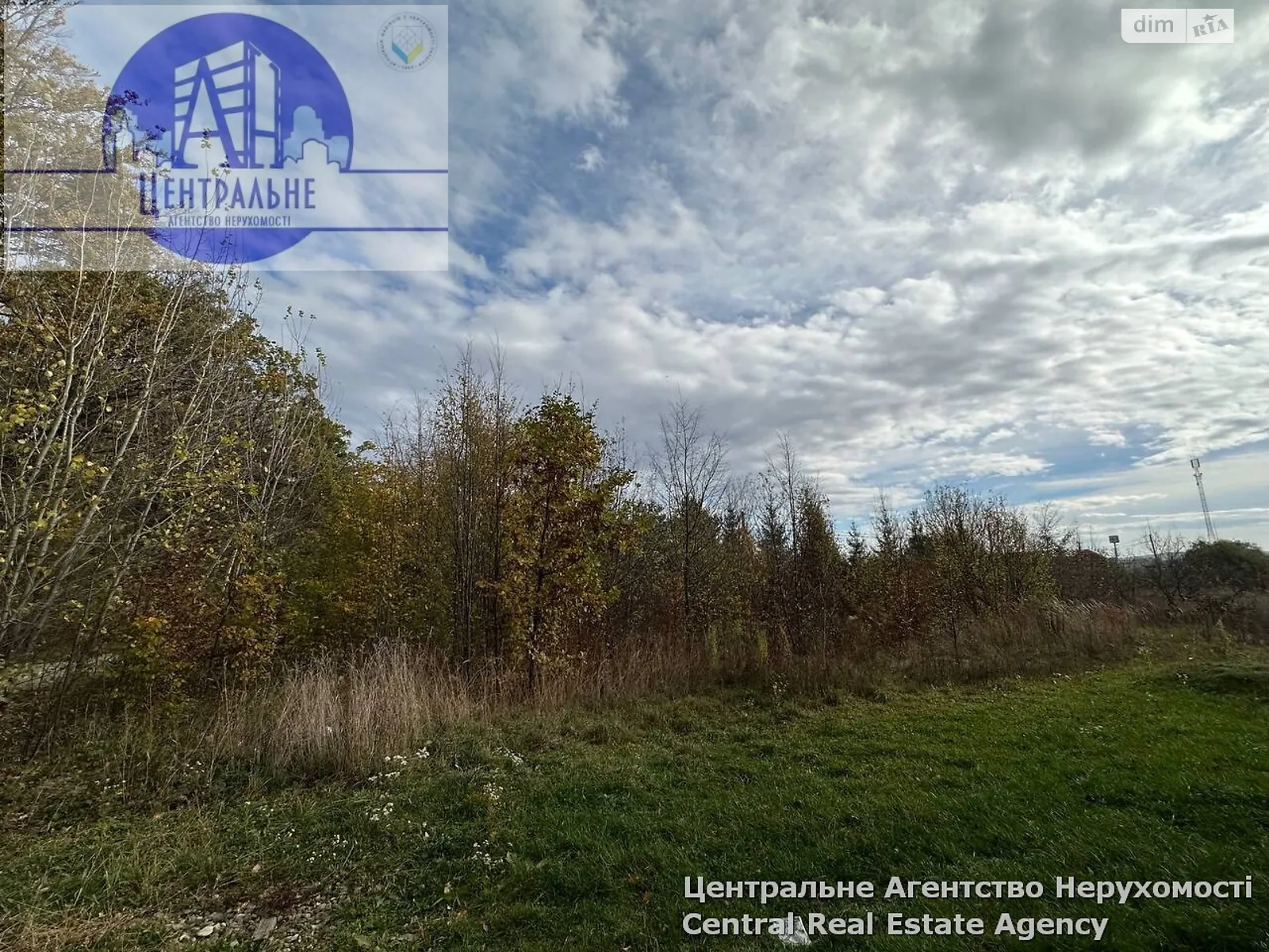 Продається земельна ділянка 41.15 соток у Чернівецькій області - фото 3