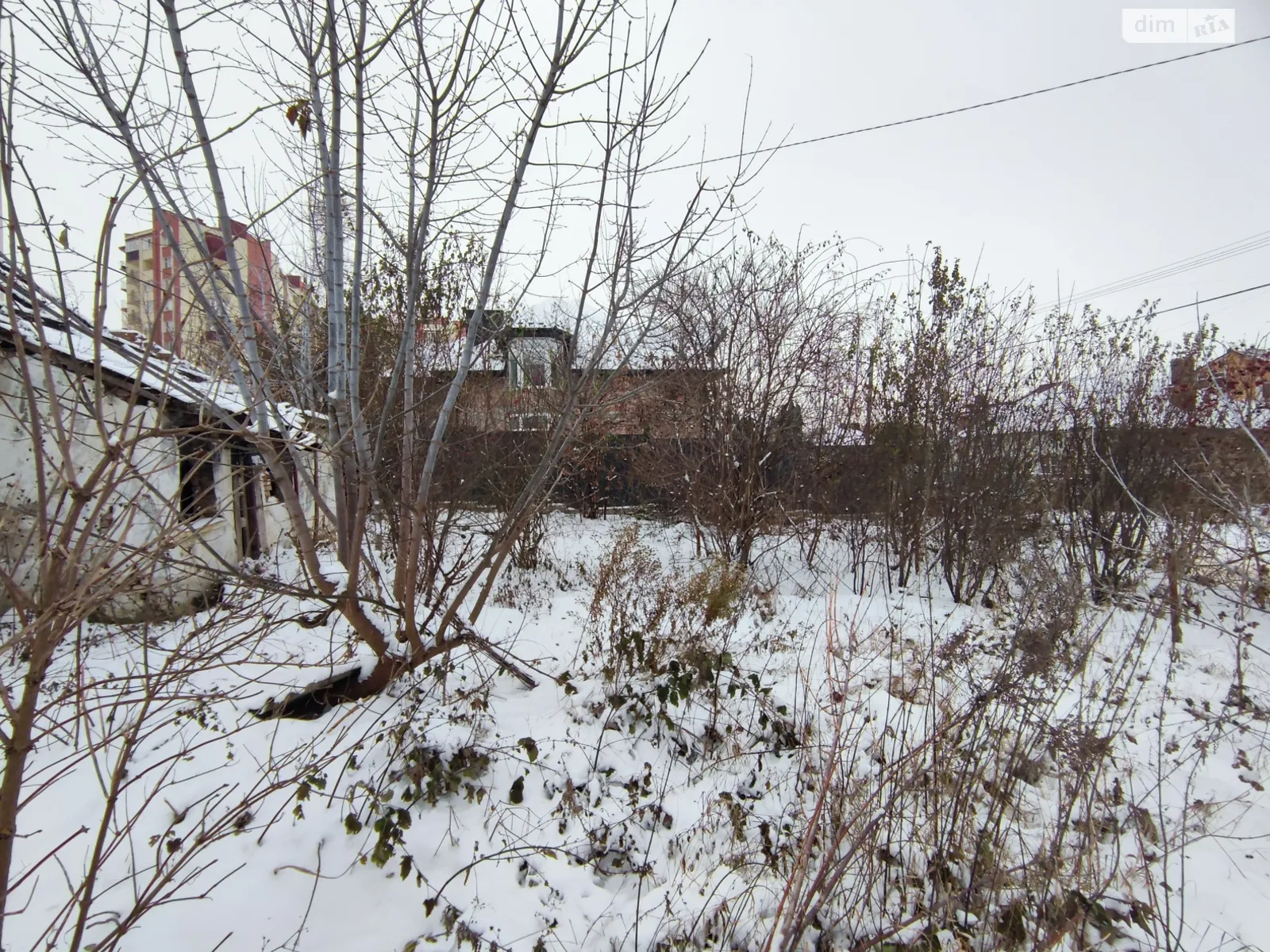 Продается земельный участок 3.38 соток в Тернопольской области - фото 3