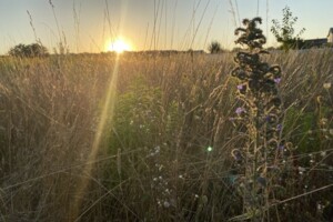 Недвижимость Украины