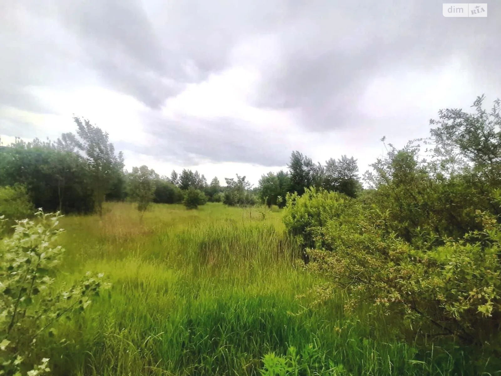 Продается земельный участок 7 соток в Житомирской области - фото 2