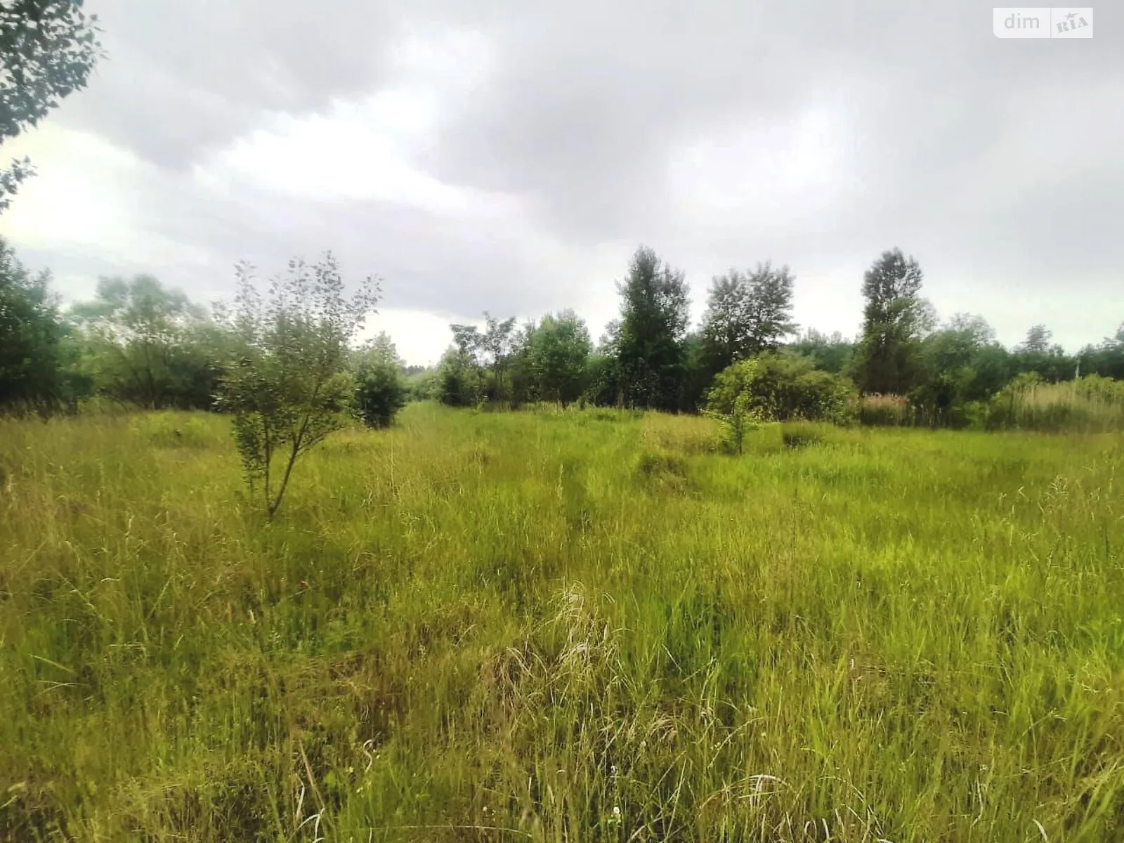 Продается земельный участок 7 соток в Житомирской области - фото 3