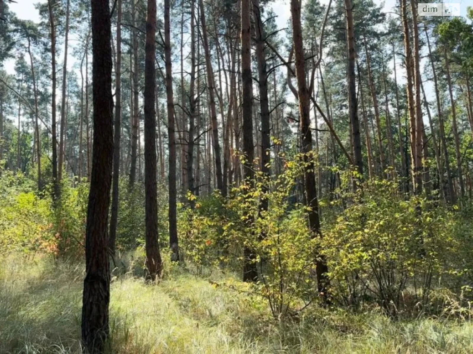 Продається земельна ділянка 132 соток у Київській області, цена: 760000 $