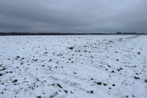 Куплю земельный участок в Чечельнике без посредников