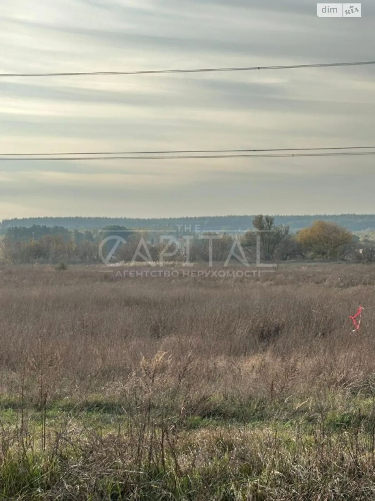 Продається земельна ділянка 21 соток у Київській області - фото 2
