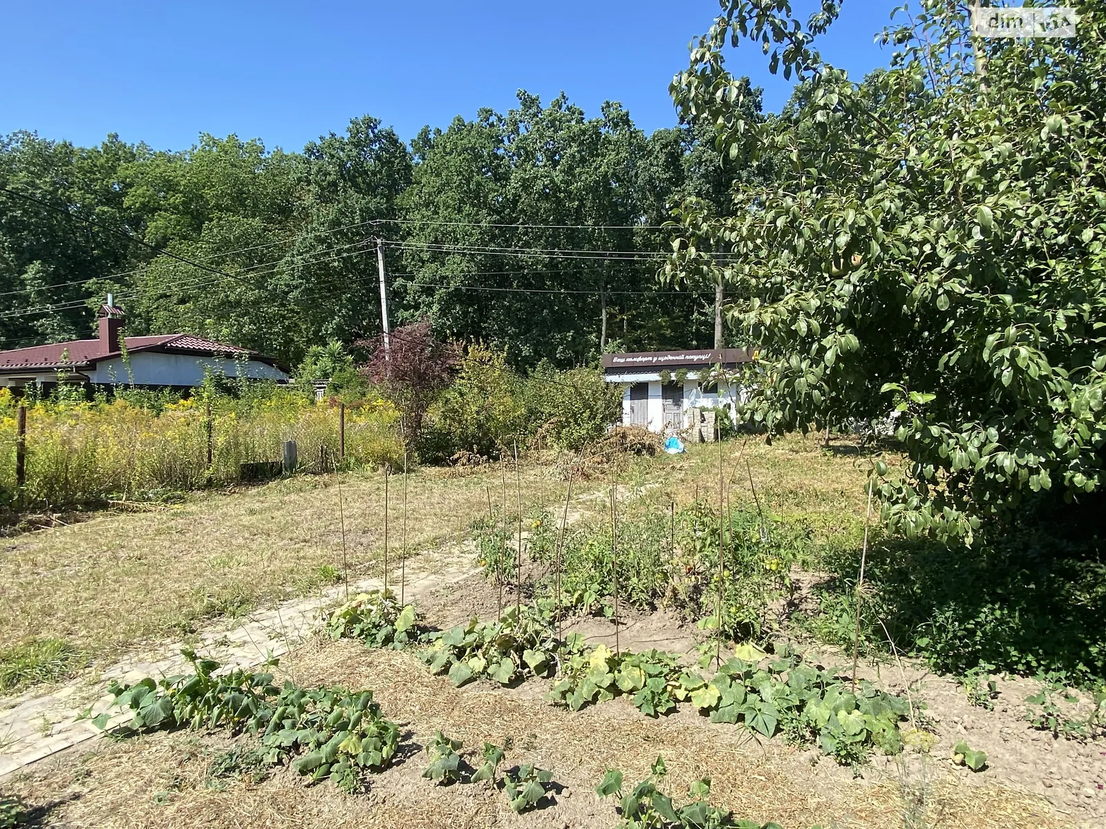 Продается земельный участок 5 соток в Винницкой области, цена: 50000 $ - фото 1