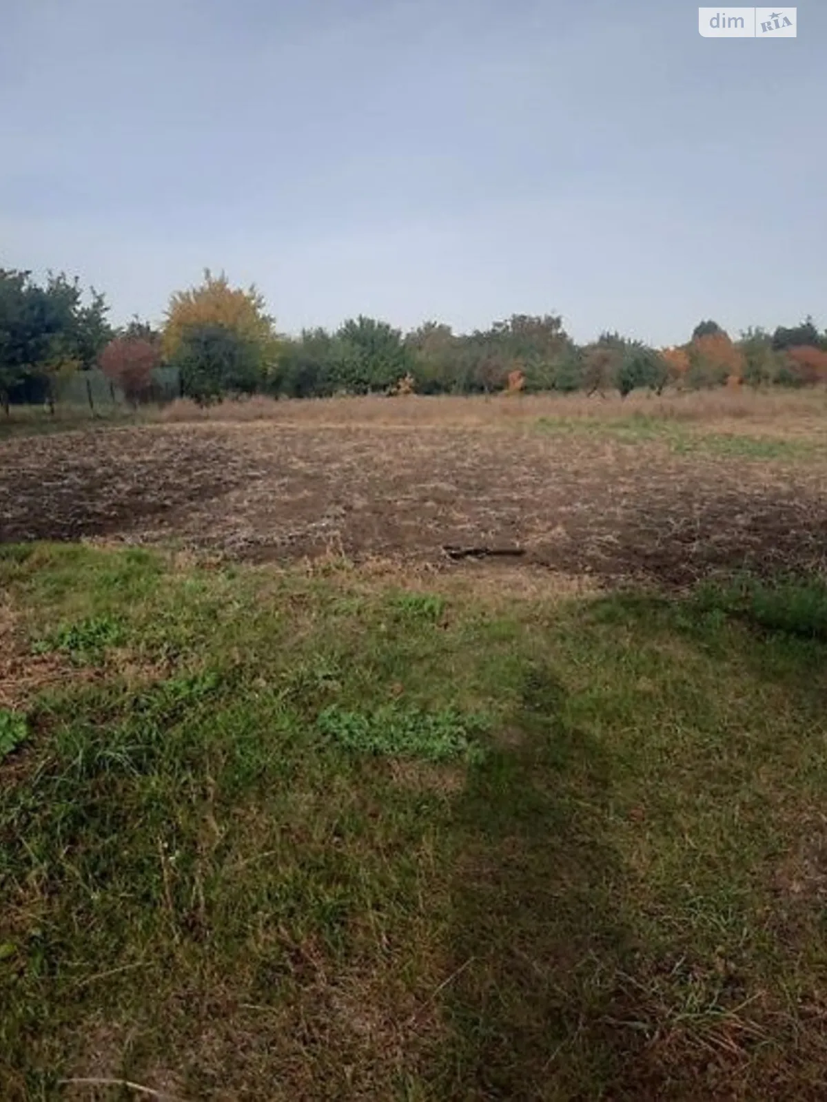 Продается земельный участок 40 соток в Винницкой области - фото 3