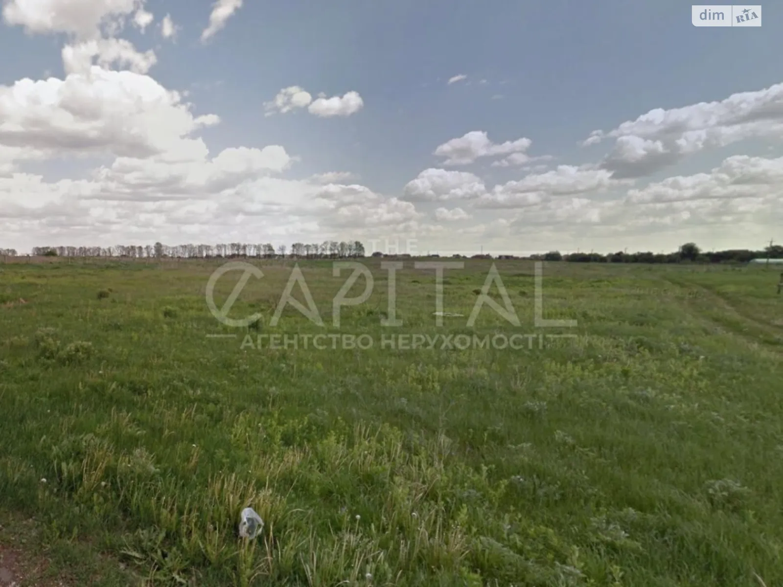 Продается земельный участок 300 соток в Киевской области - фото 2