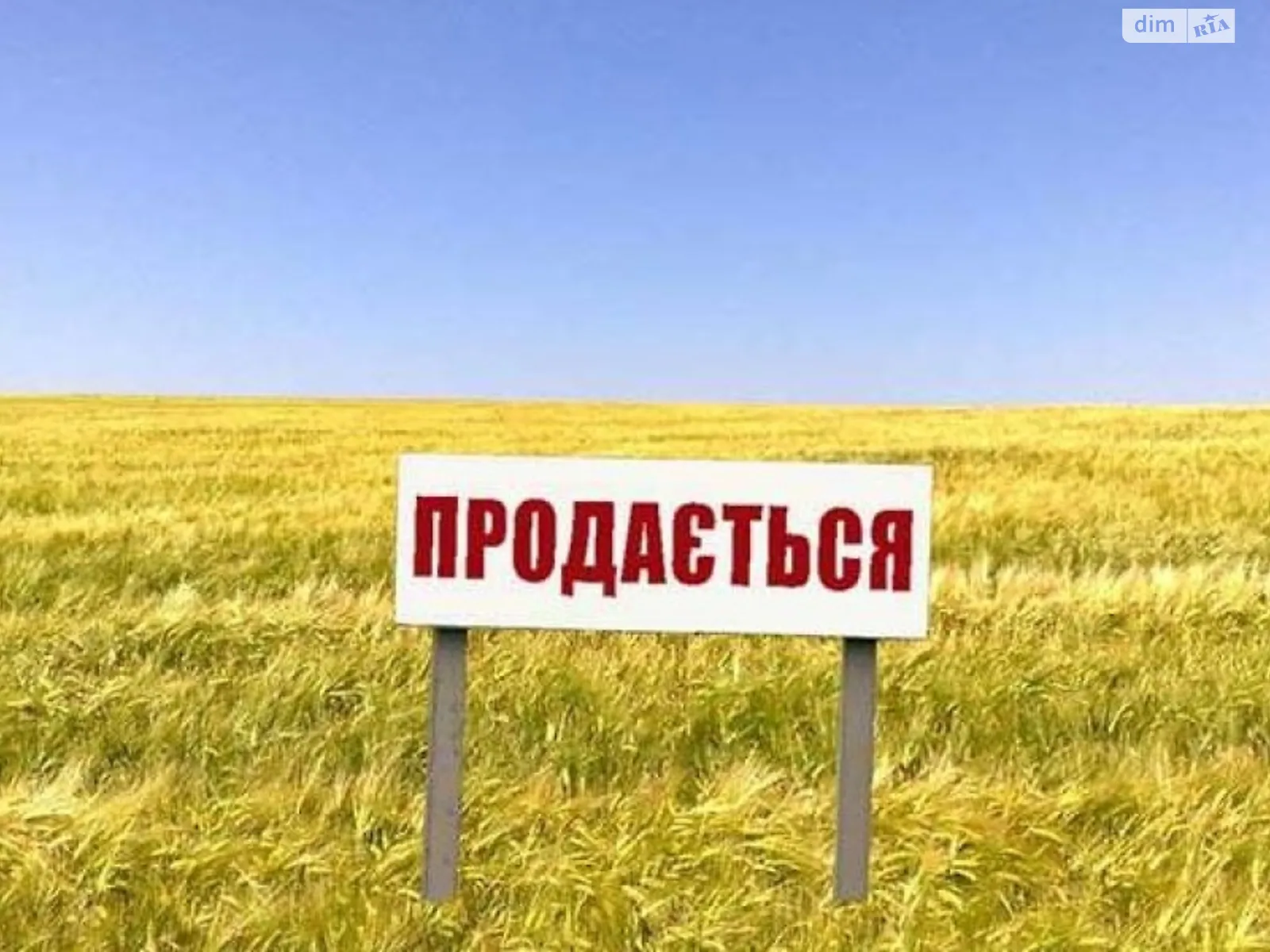 Продается земельный участок 8 соток в Ивано-Франковской области - фото 2