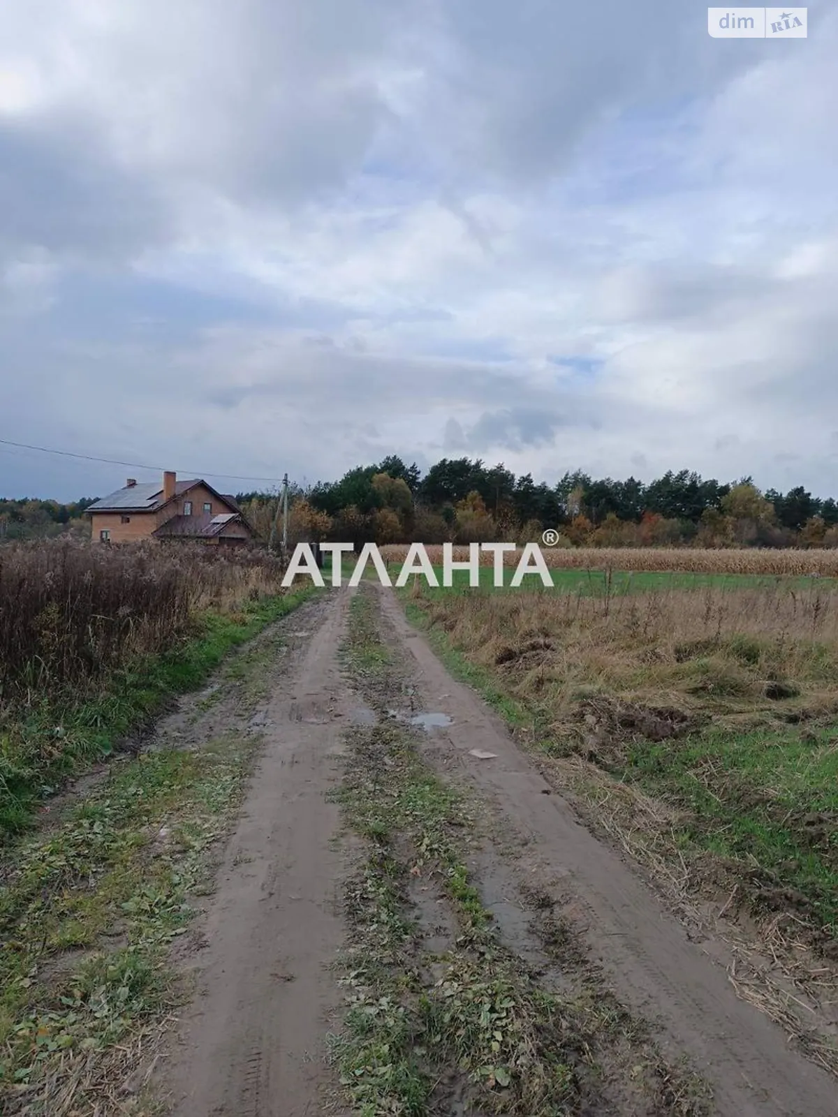 Продается земельный участок 19 соток в Львовской области - фото 2