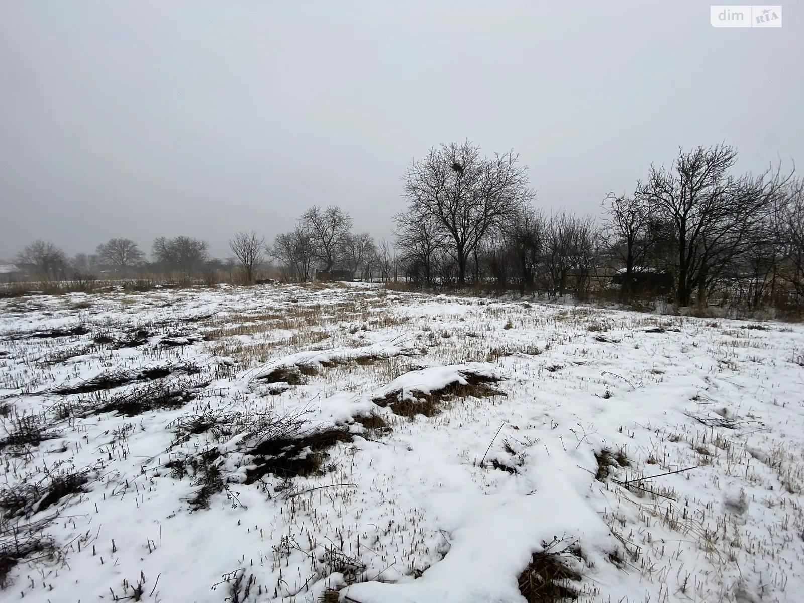 Продается земельный участок 19 соток в Винницкой области - фото 2