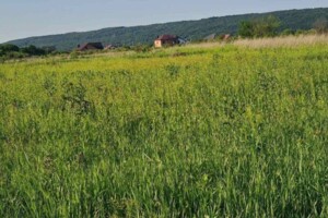 Куплю земельный участок в Бурштыне без посредников