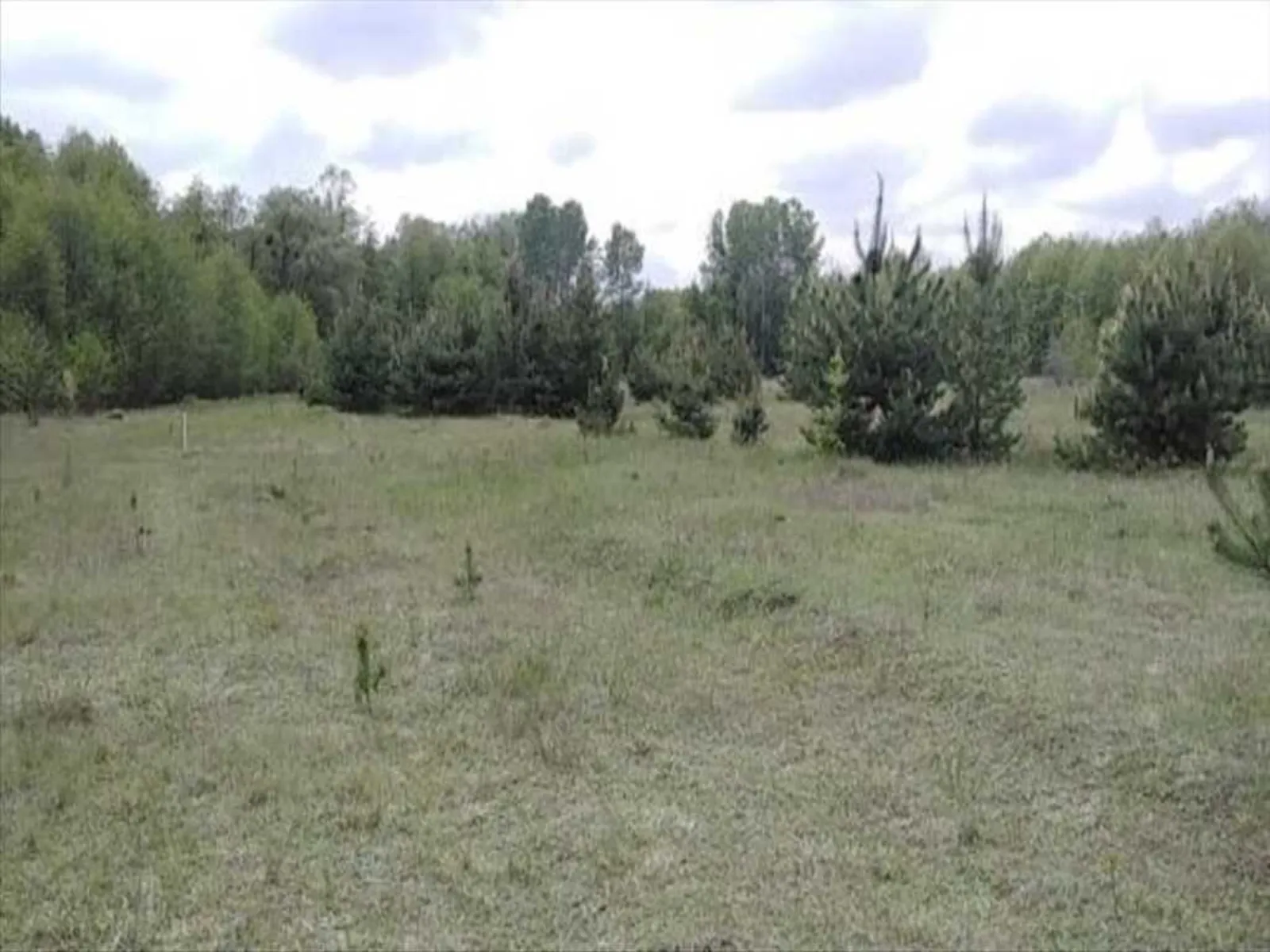 Продается земельный участок 8.37 соток в Полтавской области - фото 3