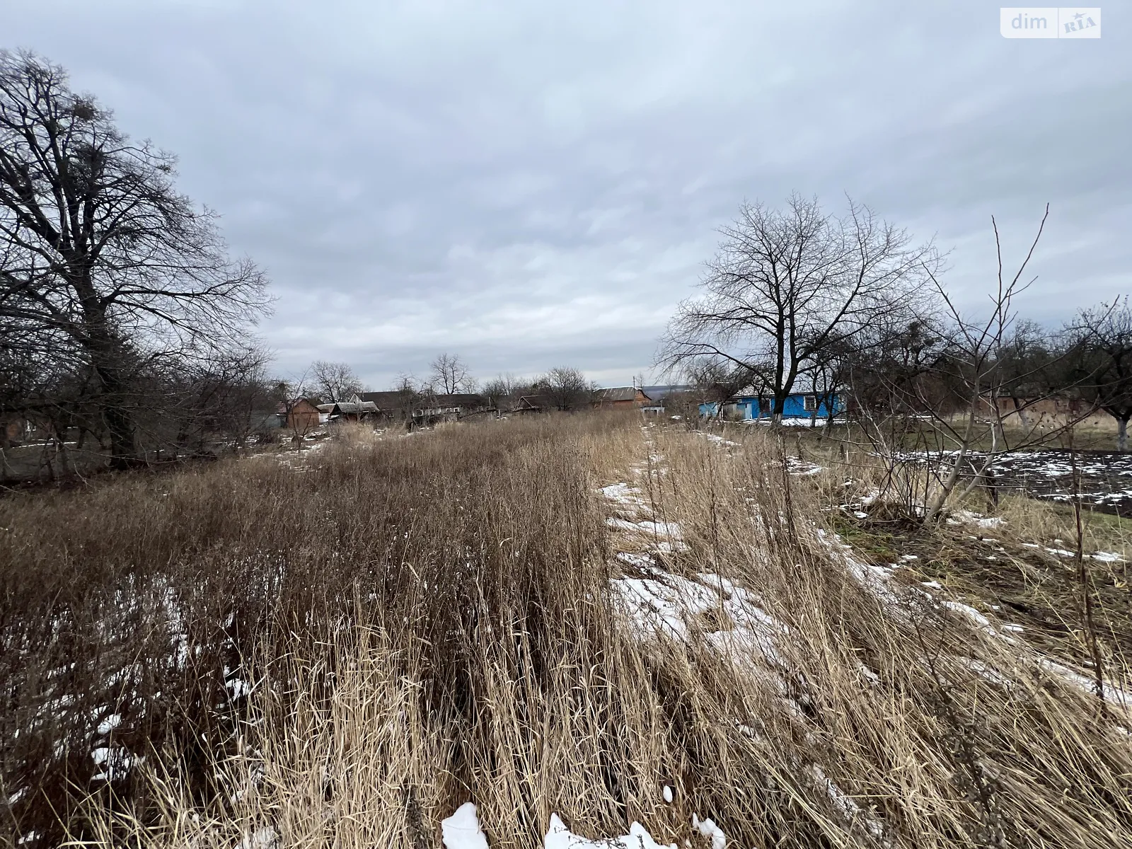 Продается земельный участок 30 соток в Хмельницкой области - фото 3