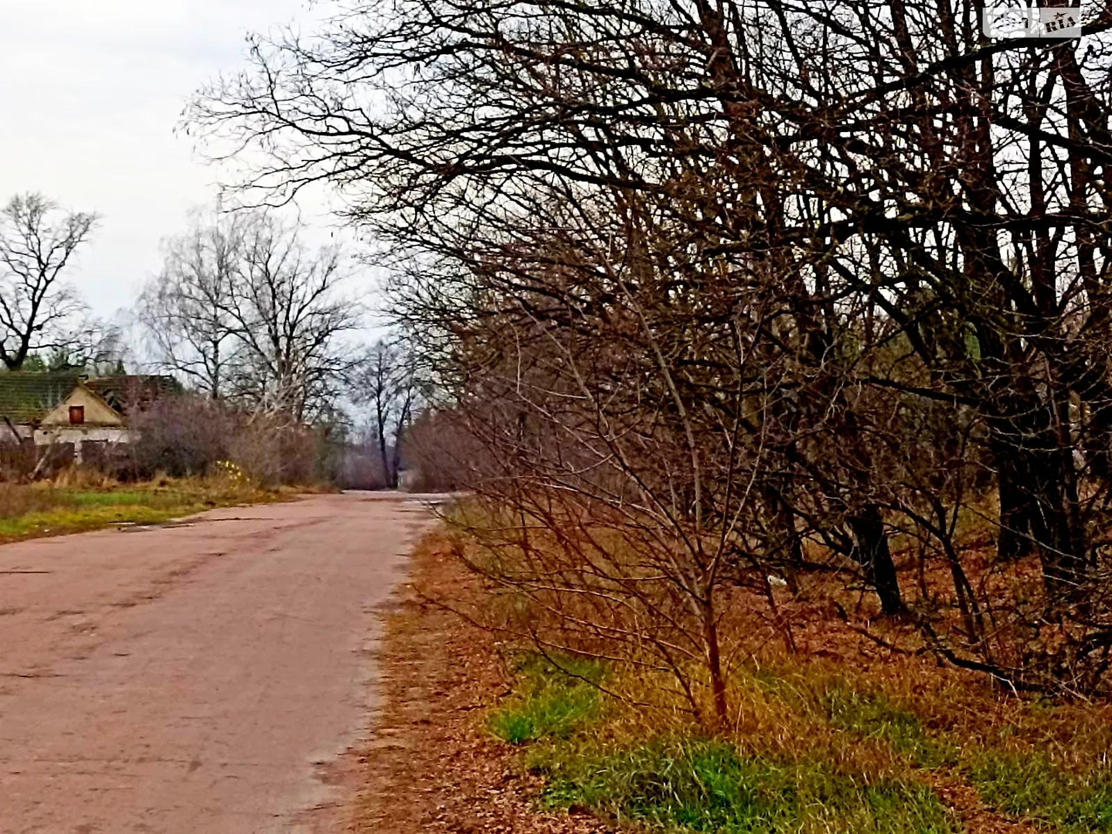 Продається земельна ділянка 25 соток у Чернігівській області, цена: 3500 $