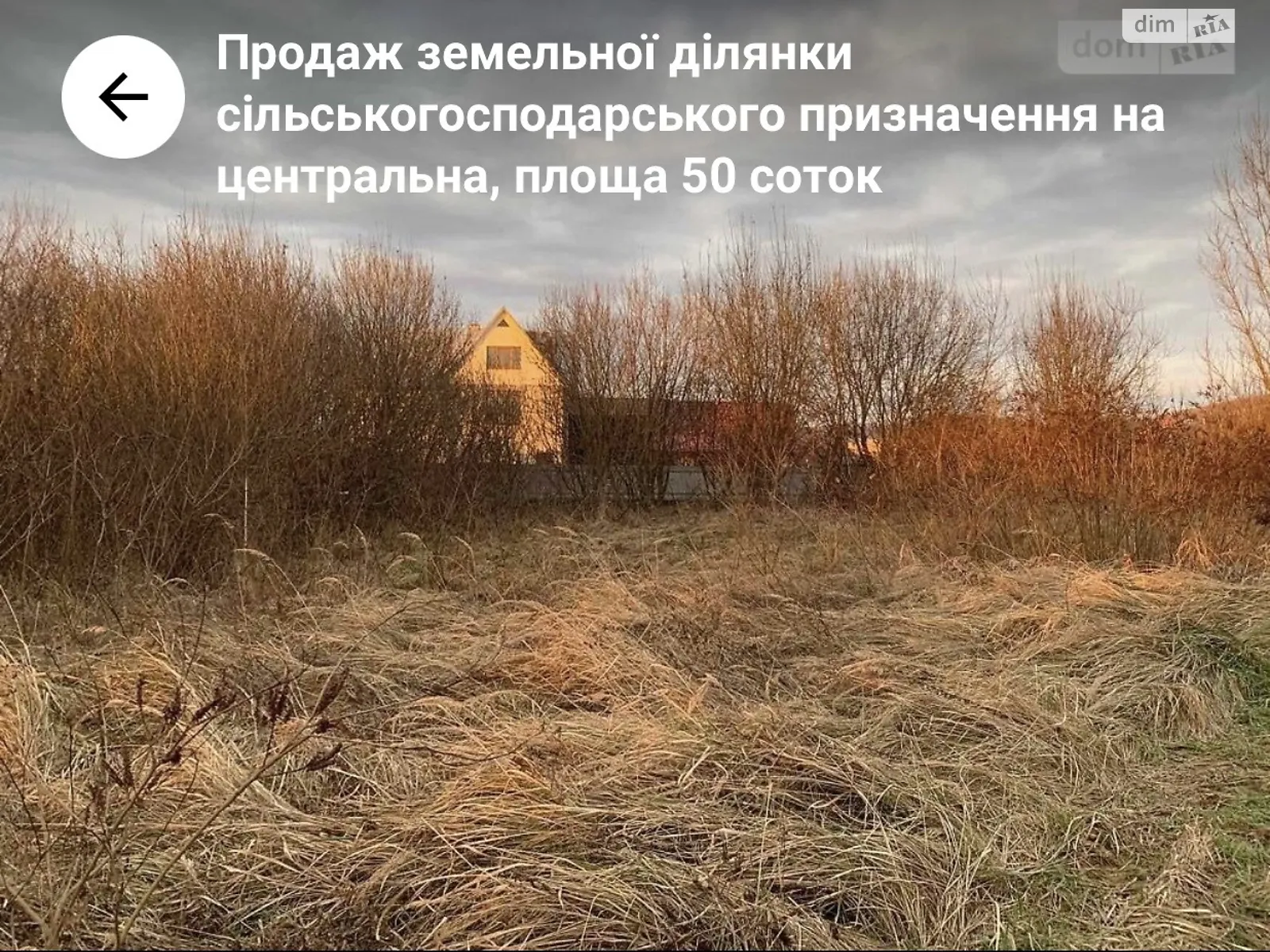 Продається земельна ділянка 50 соток у Закарпатській області - фото 2