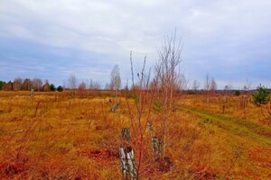 Земля сельскохозяйственного назначения без посредников Черниговской области