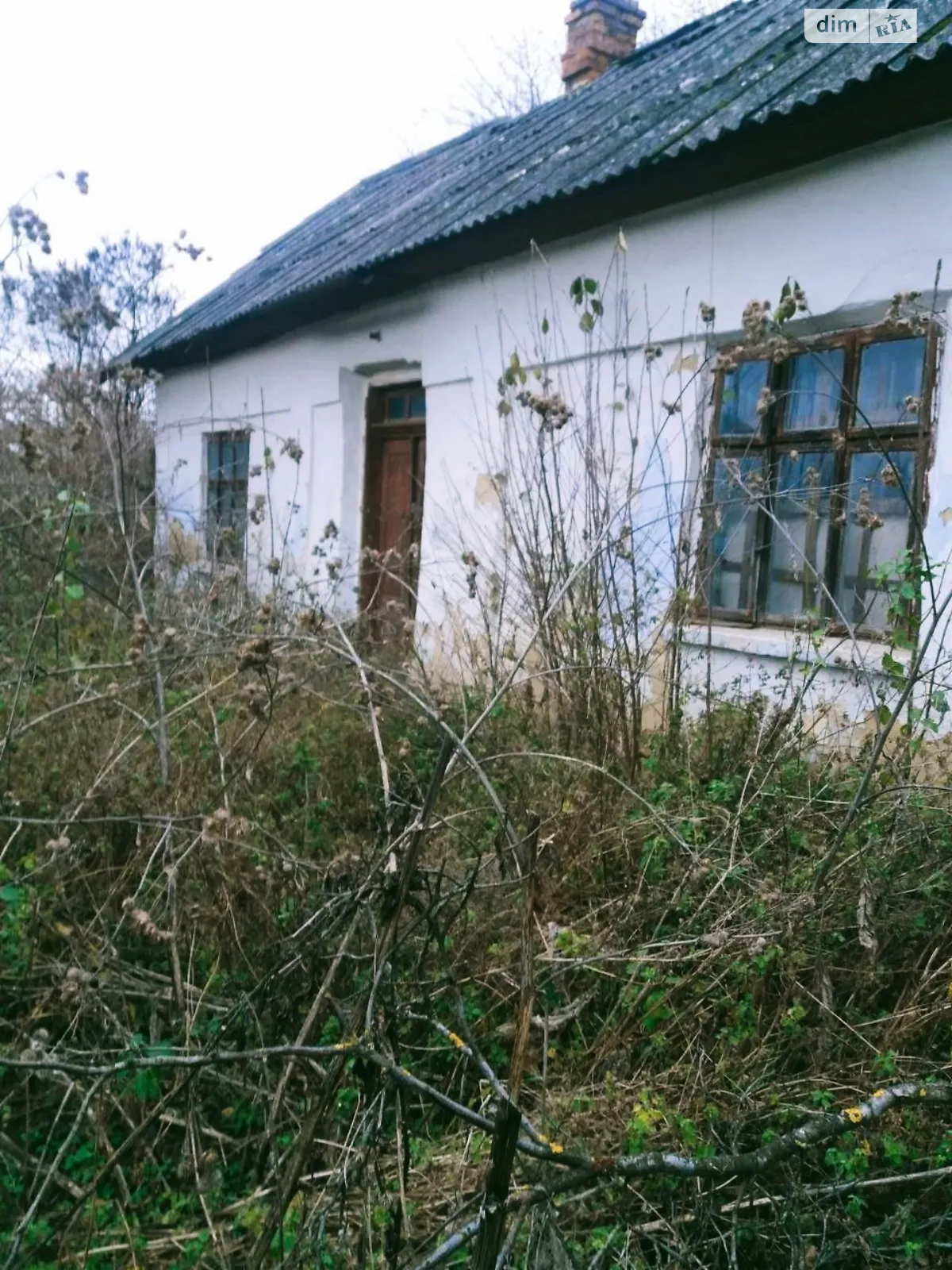 Продается земельный участок 23 соток в Тернопольской области - фото 2