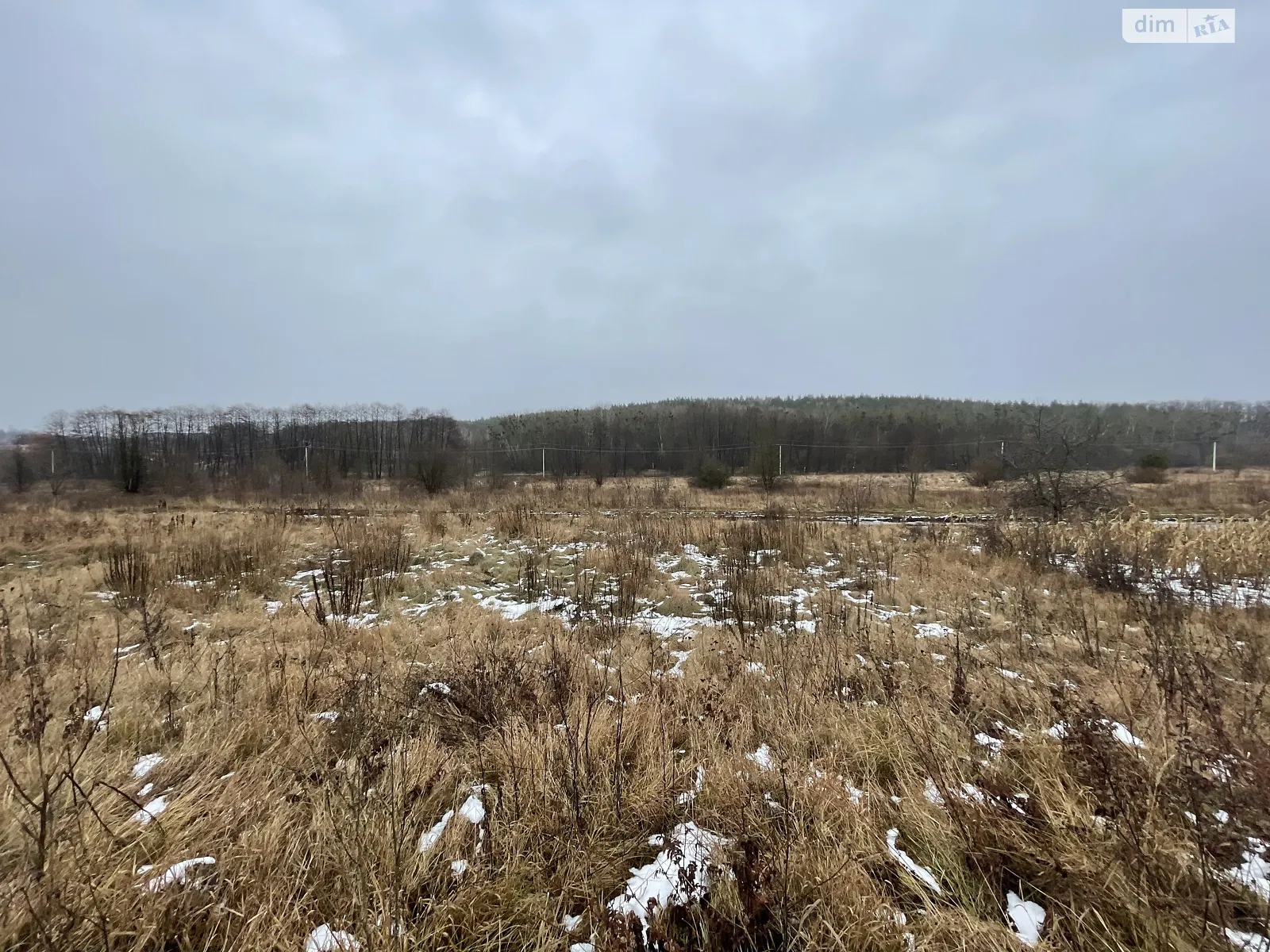 Продается земельный участок 17 соток в Винницкой области - фото 2