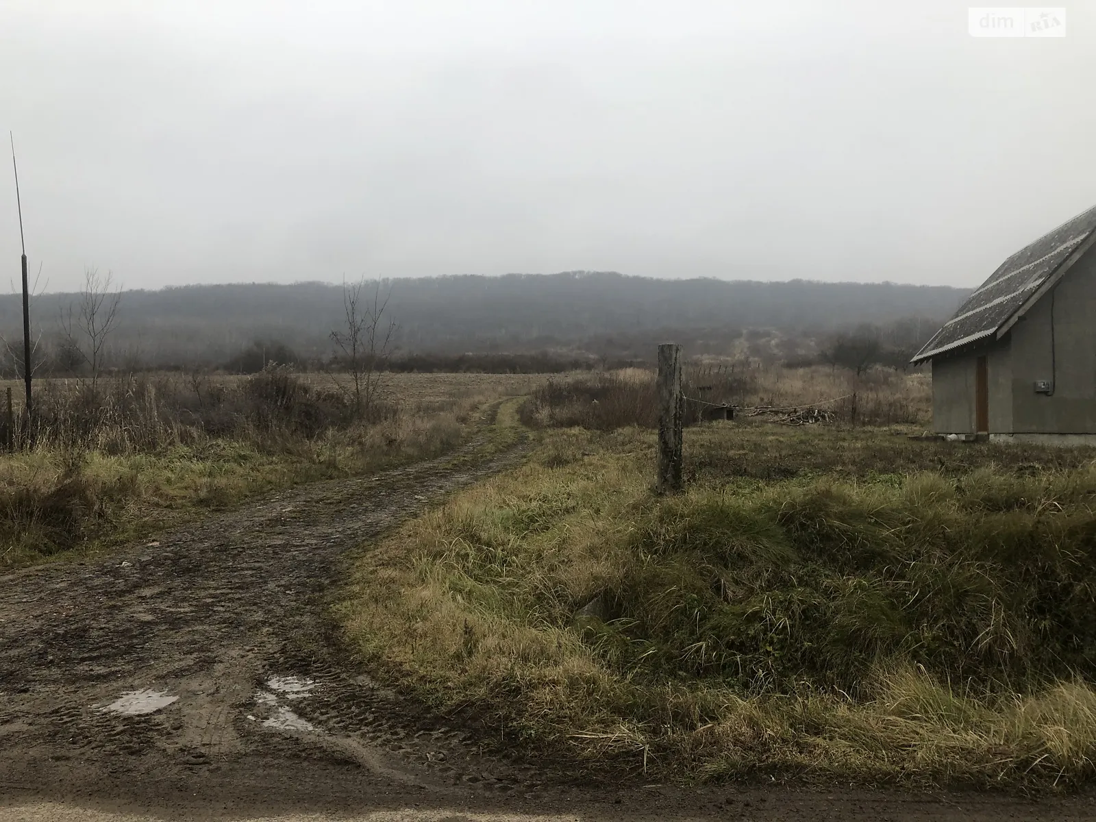 Продается земельный участок 12 соток в Закарпатской области - фото 4