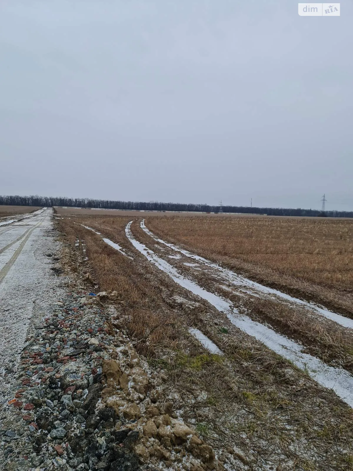 Продается земельный участок 90 соток в Киевской области - фото 2