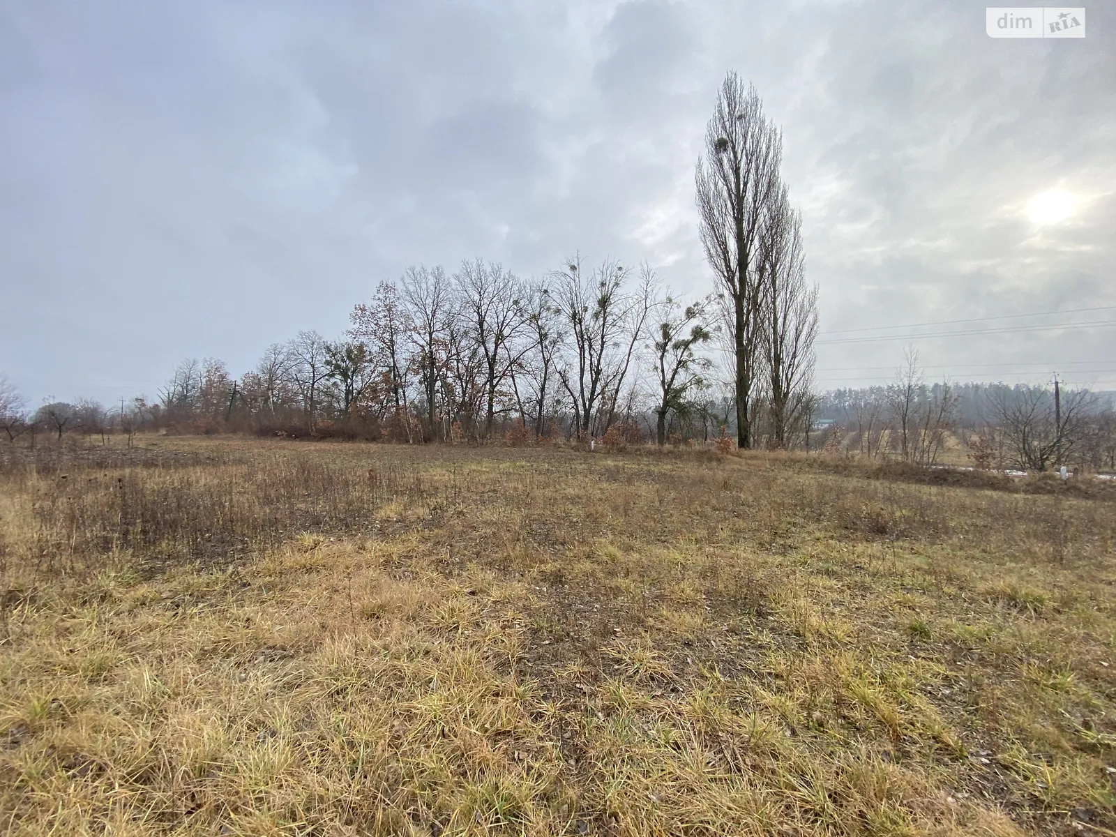 Продається земельна ділянка 27.5 соток у Вінницькій області - фото 3
